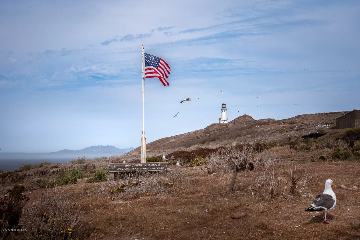 ANACAP IDLAND AND LIGHT HOUSE