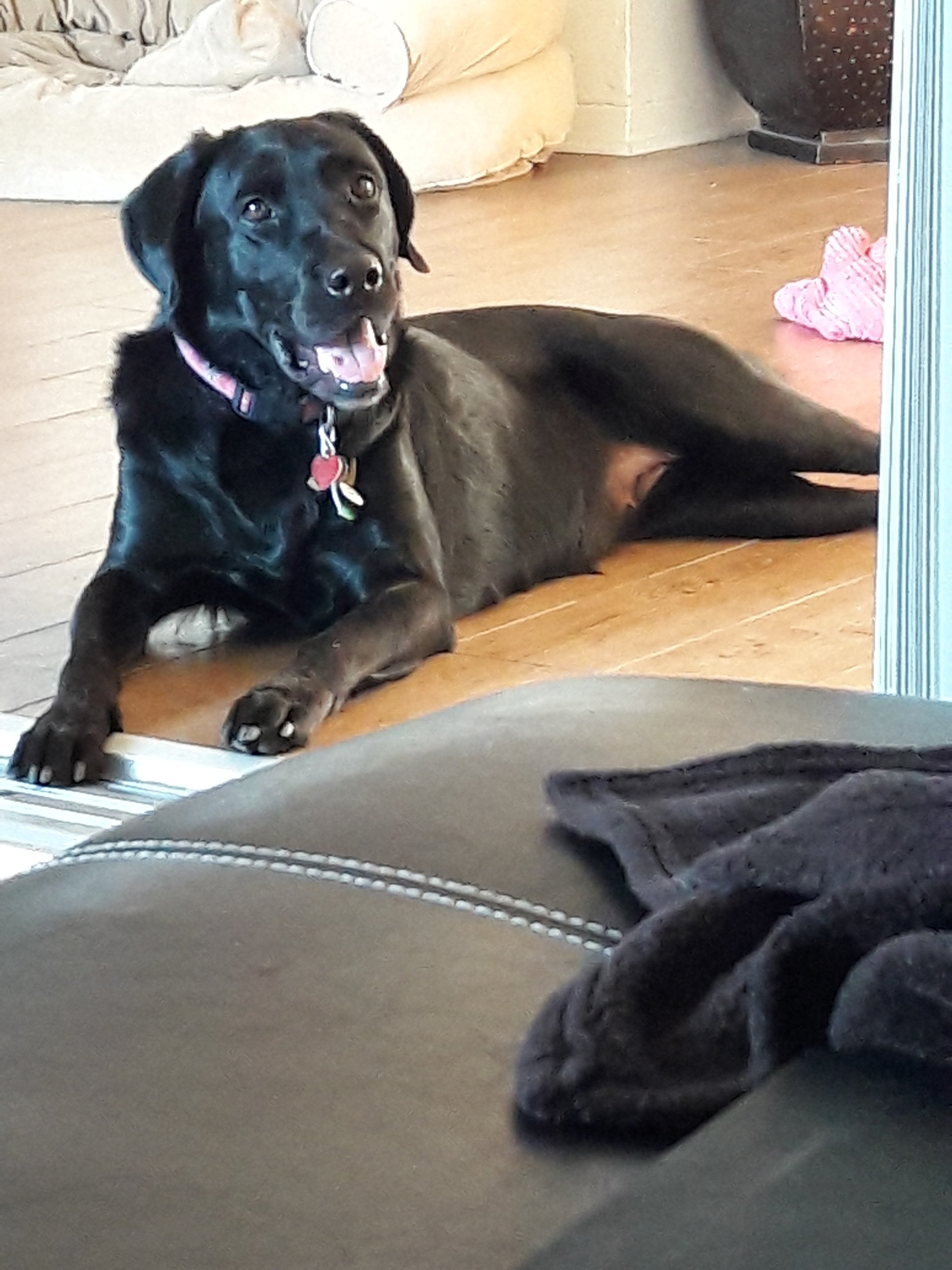 20161228_090415.jpg