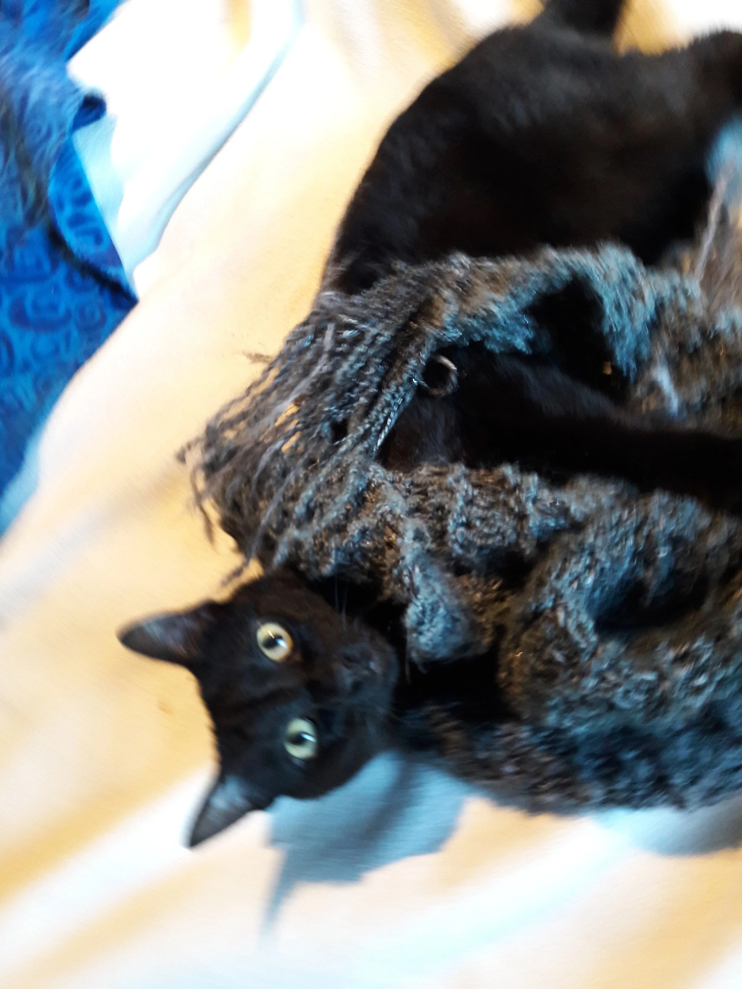20170201_090626.jpg