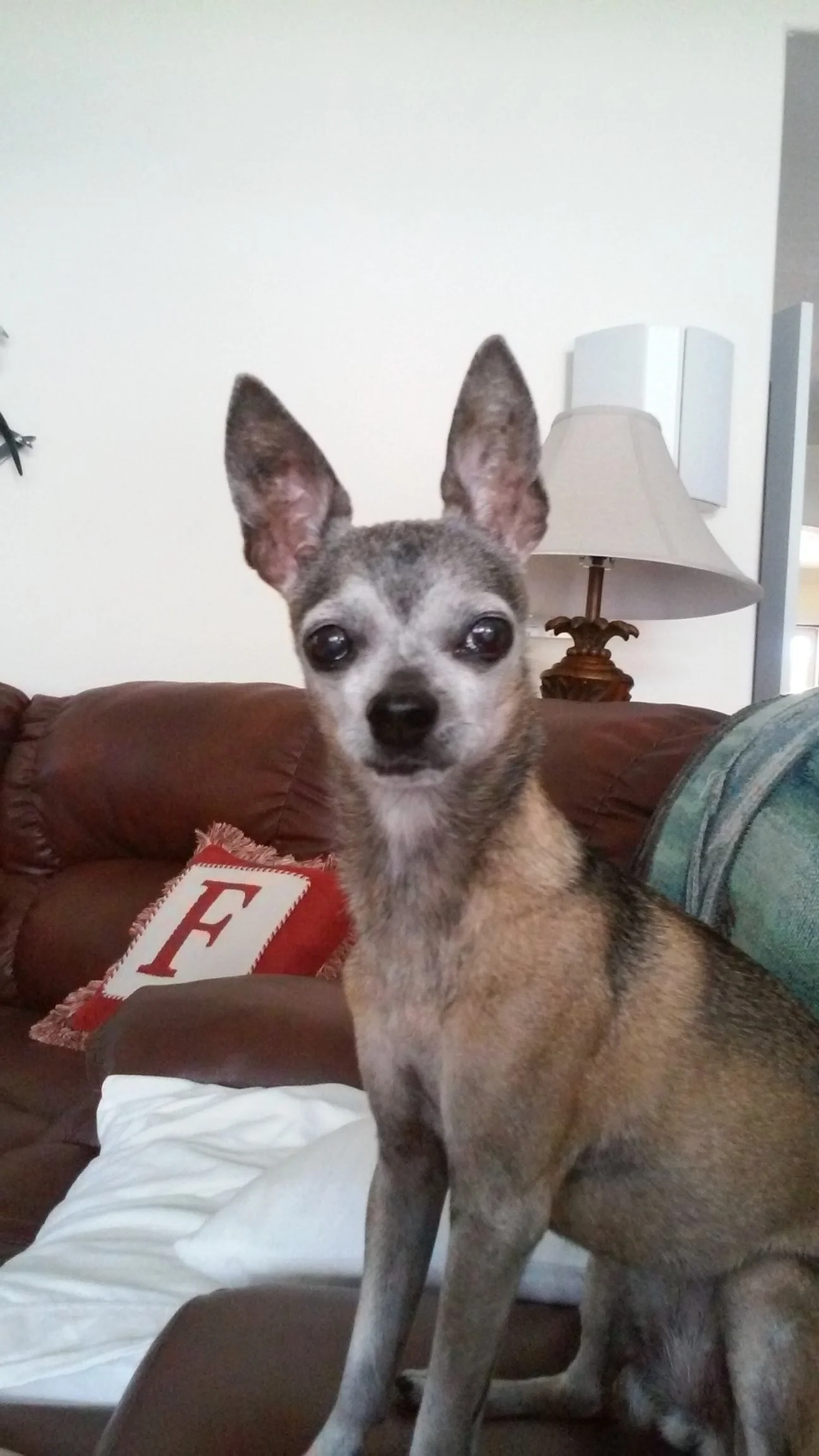 20160822_141756.jpg