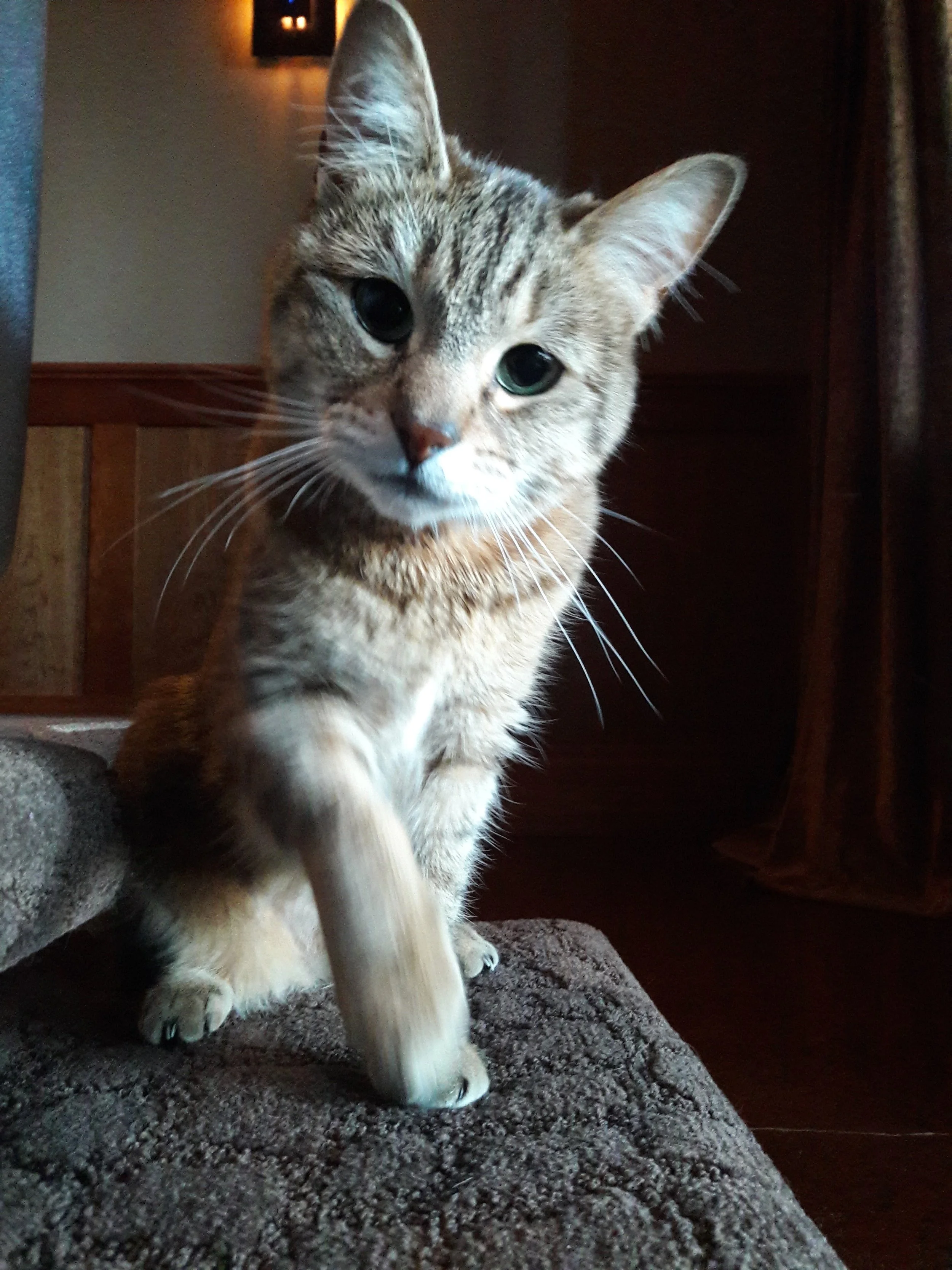 20170201_080752.jpg