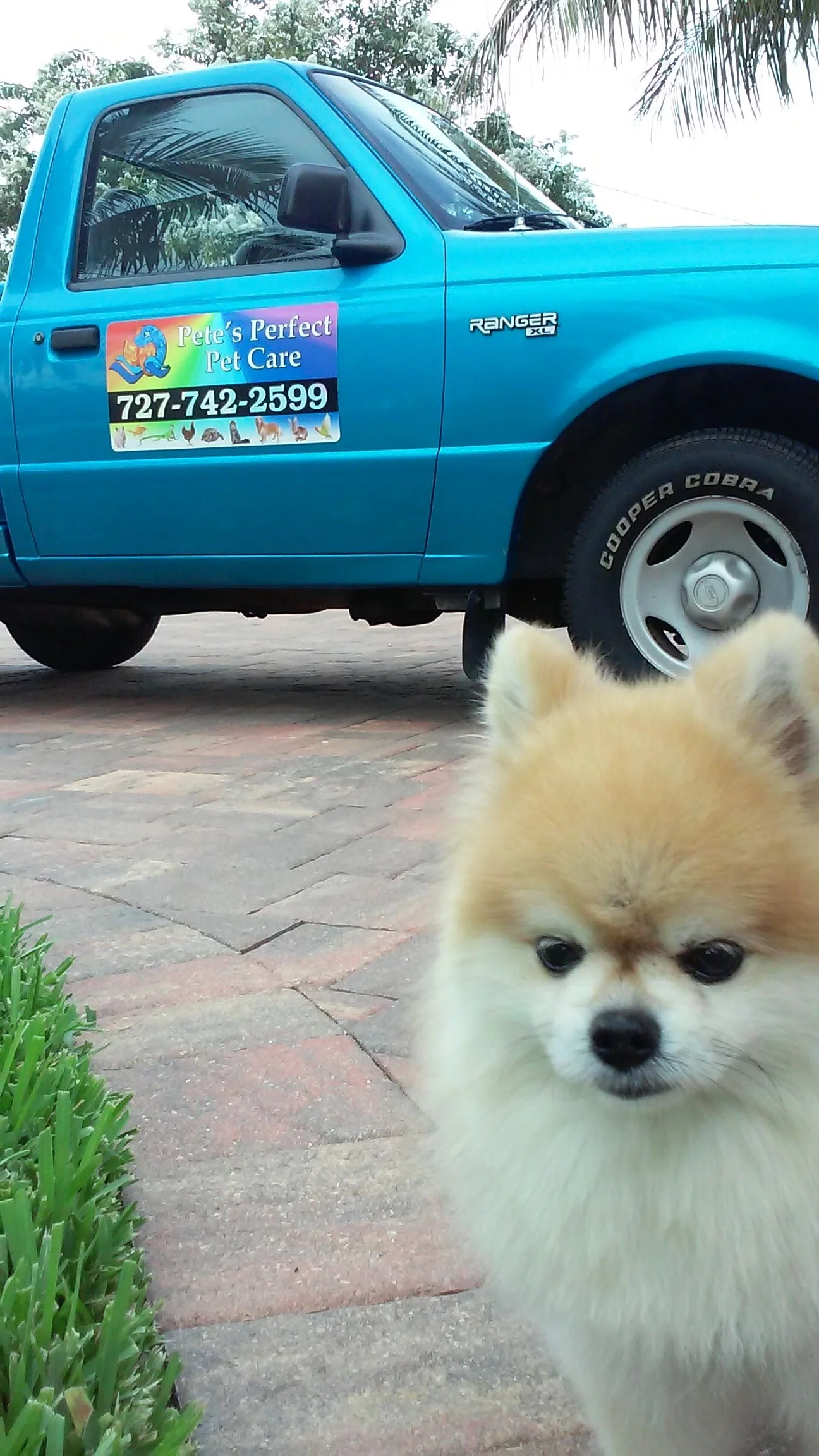 20160730_181716.jpg