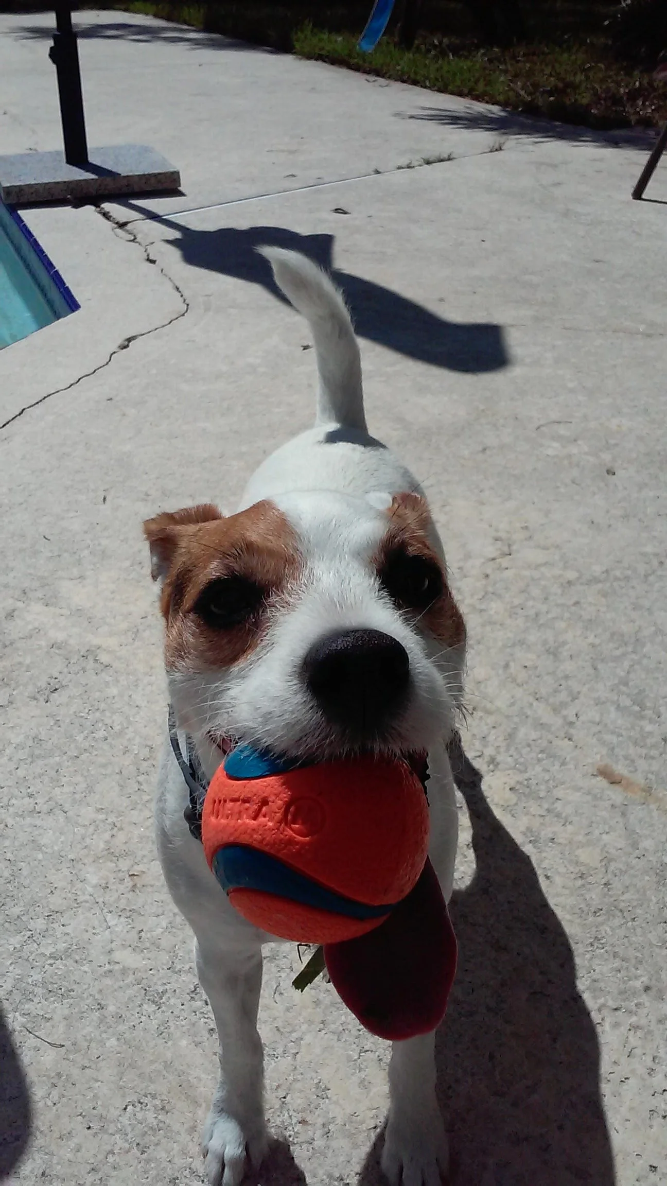 20160905_113709.jpg