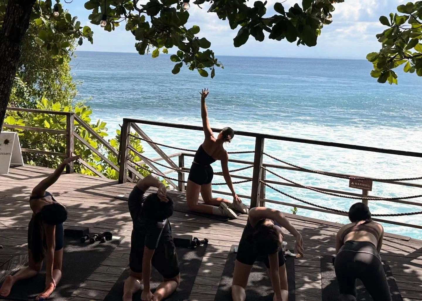 People participating in an outdoor yoga class near the ocean, practicing yoga poses on mats under a tree with a view of the water and sky.