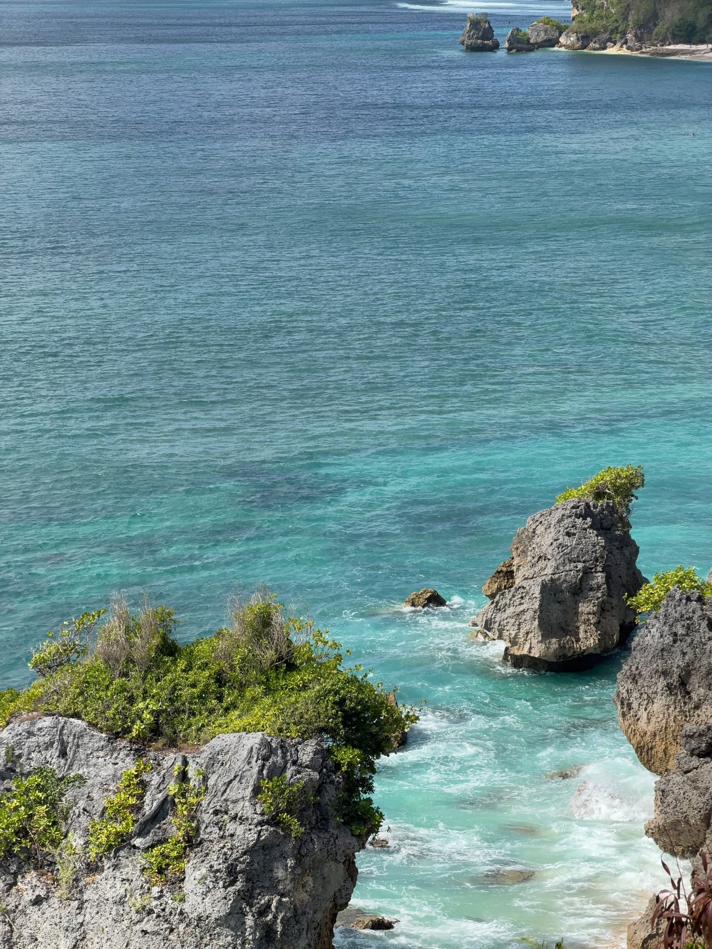 Clear turquoise ocean water with rocks and green vegetation along a rocky shoreline, and trees in the background.