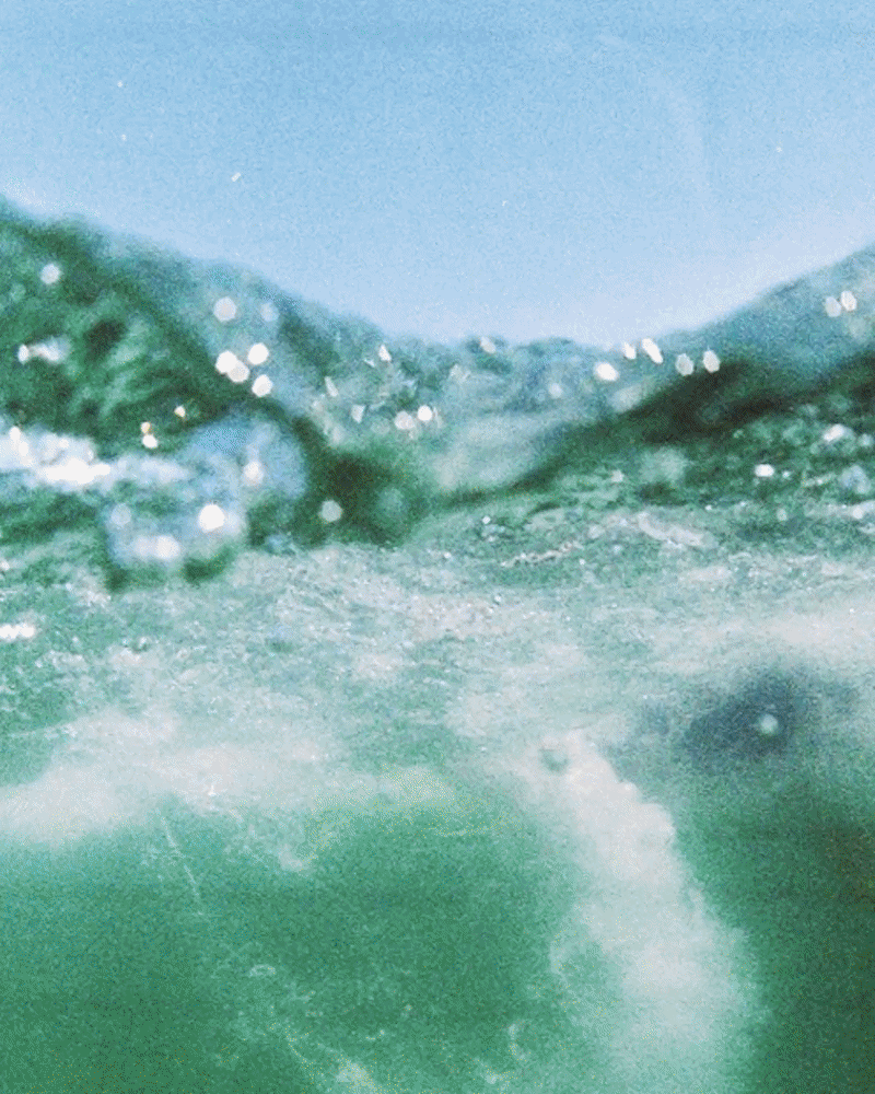 Close-up of a whale underwater, showing part of its head and water surface.