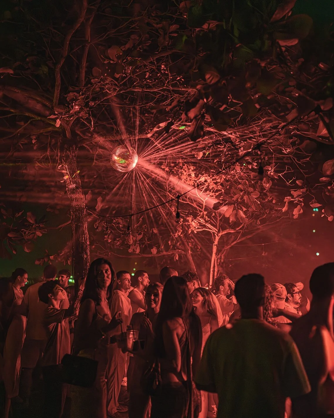 A group of people gathered outdoors at night under trees with a large disco ball hanging from a branch, casting red light and reflections across the scene.