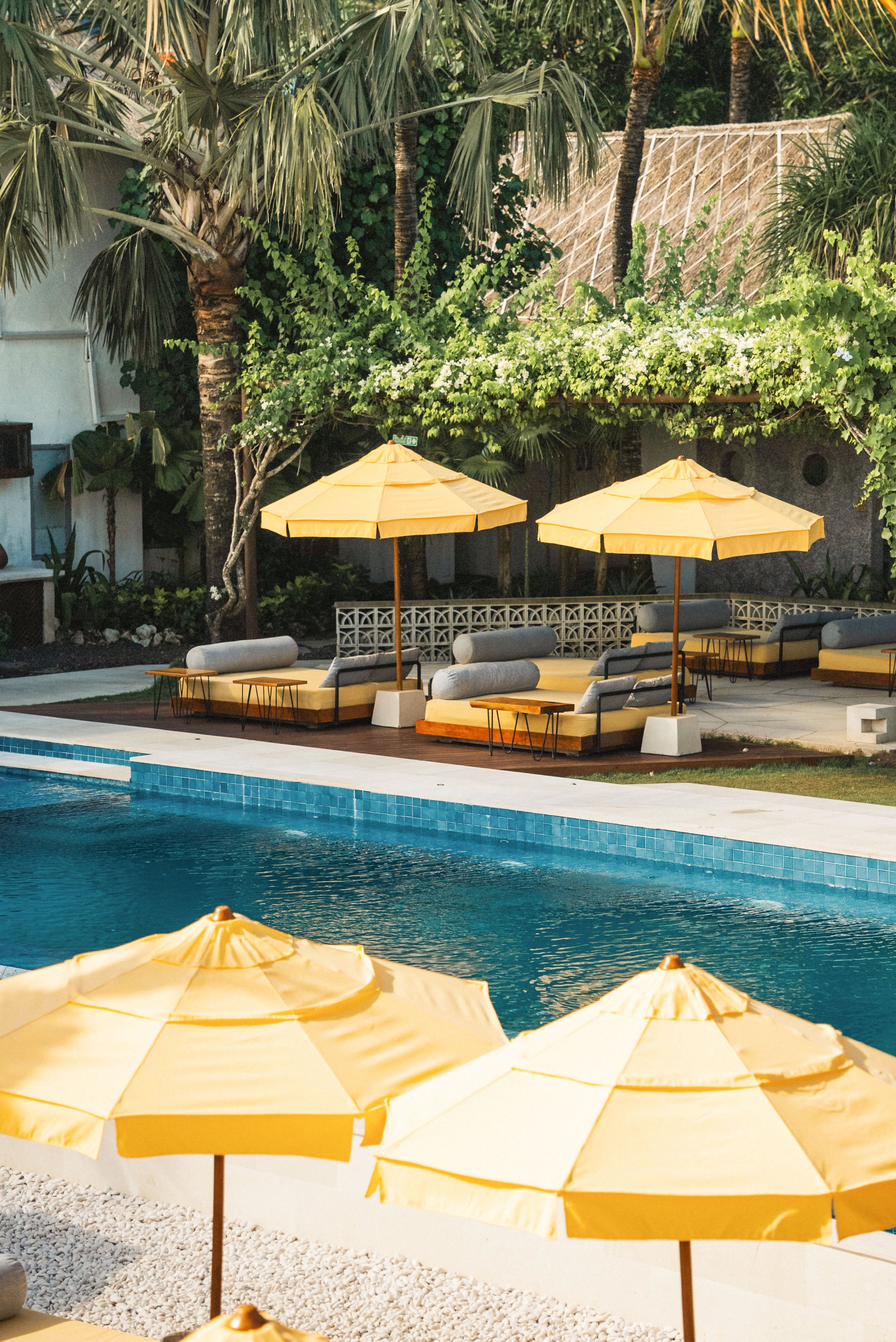 A swimming pool with yellow umbrellas and lounge chairs. Tall palm trees and lush greenery are in the background.