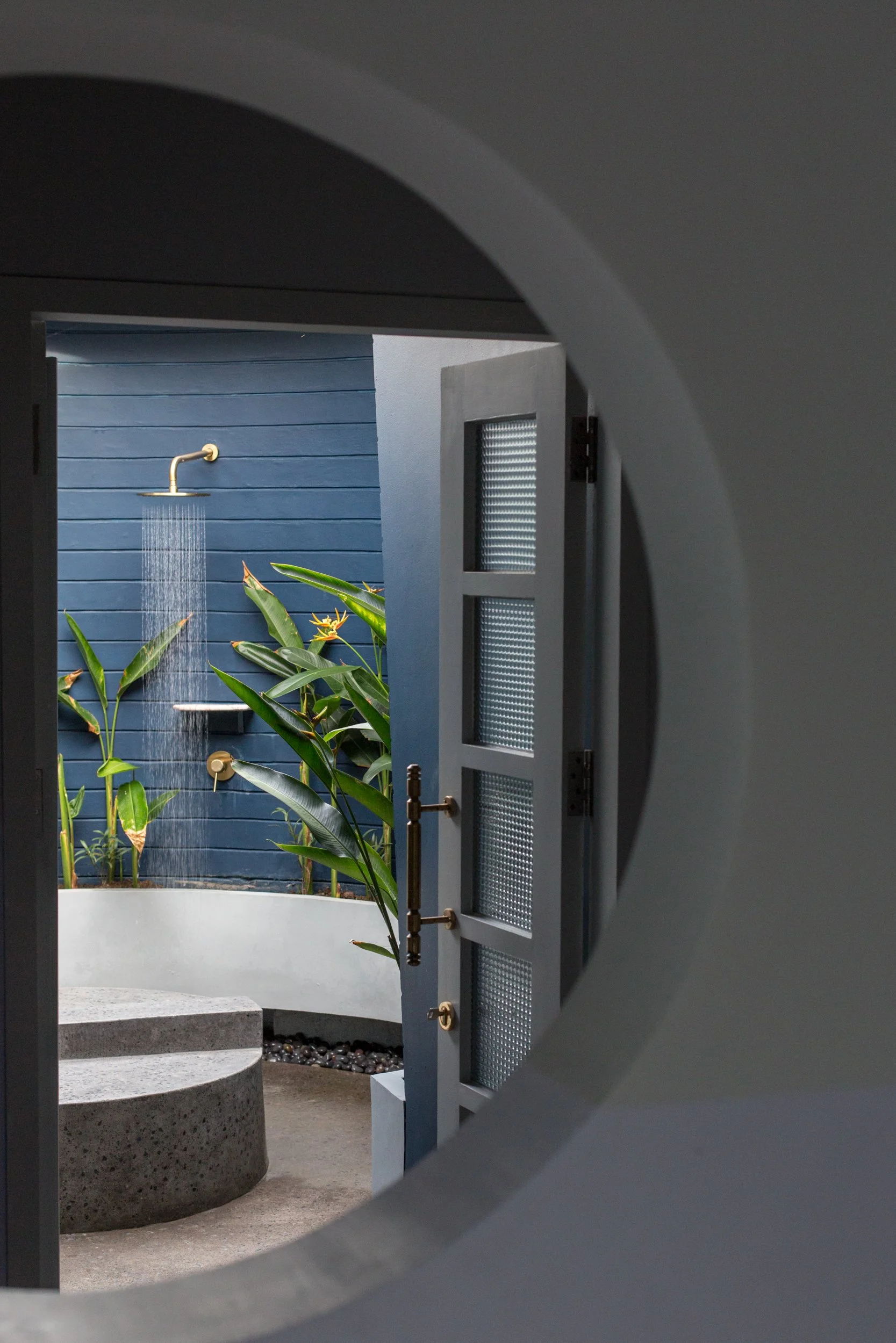 An outdoor shower with a brass showerhead on a blue wooden wall, surrounded by green plants, viewed through an open gray door.