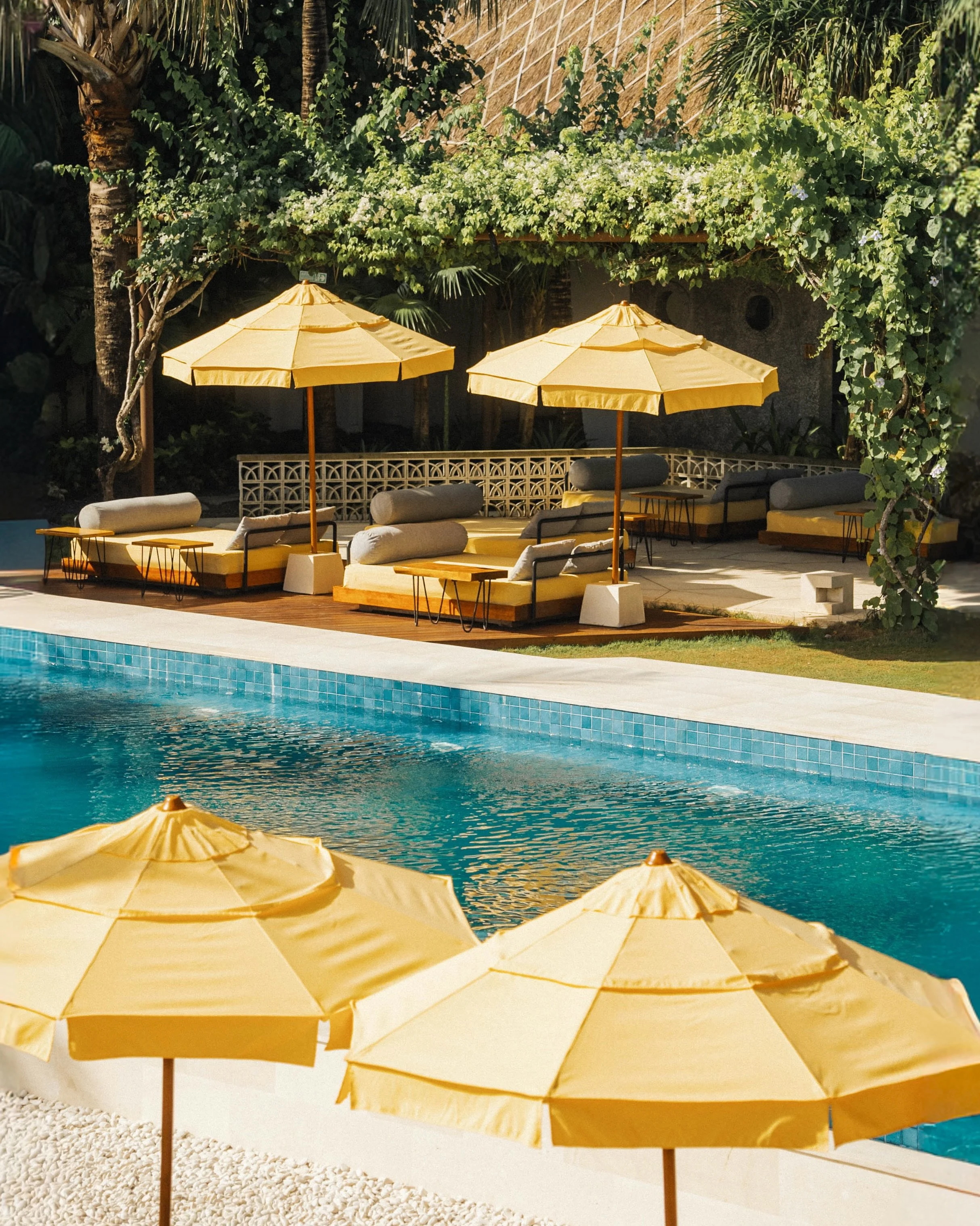 Swimming pool with yellow umbrellas and lounge chairs on a patio, surrounded by lush tropical plants and trees.