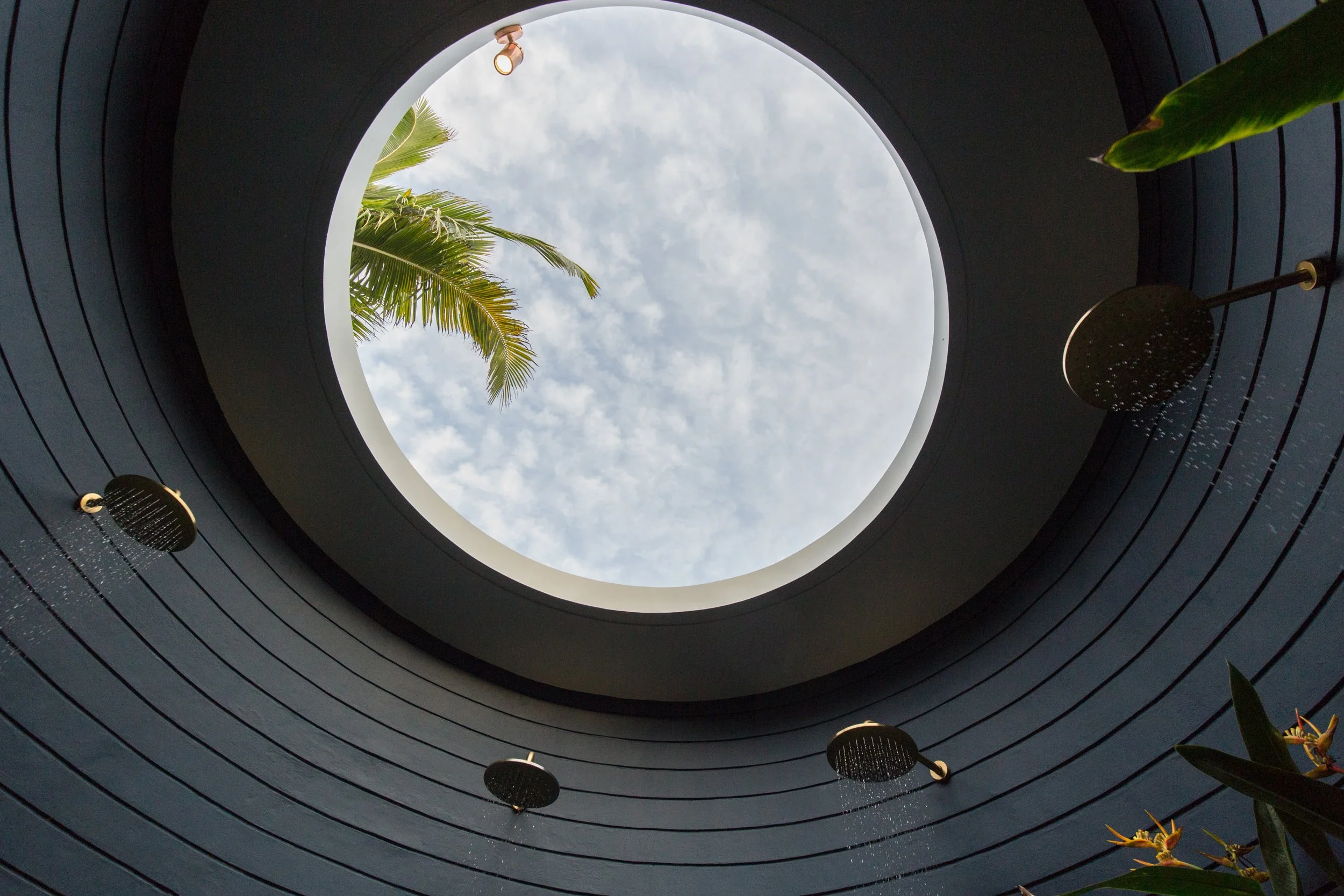 Looking up through a circular opening in a modern building's roof, revealing a cloudy sky, a palm tree, and part of a leaf outside.