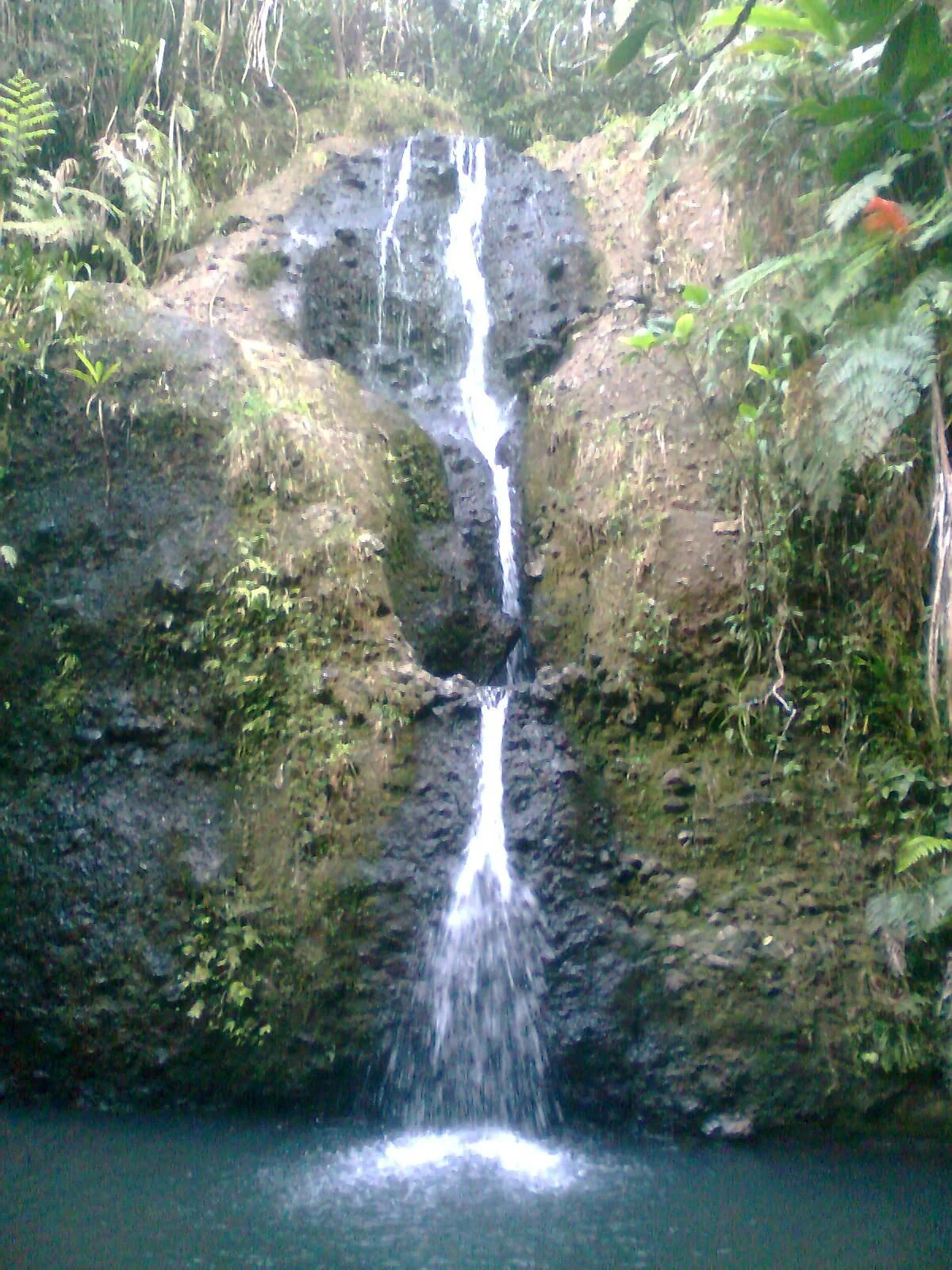 Waterfall and swimming pool at Colo-i-Suva Forest Park, a family day trip near Suva over the holidays