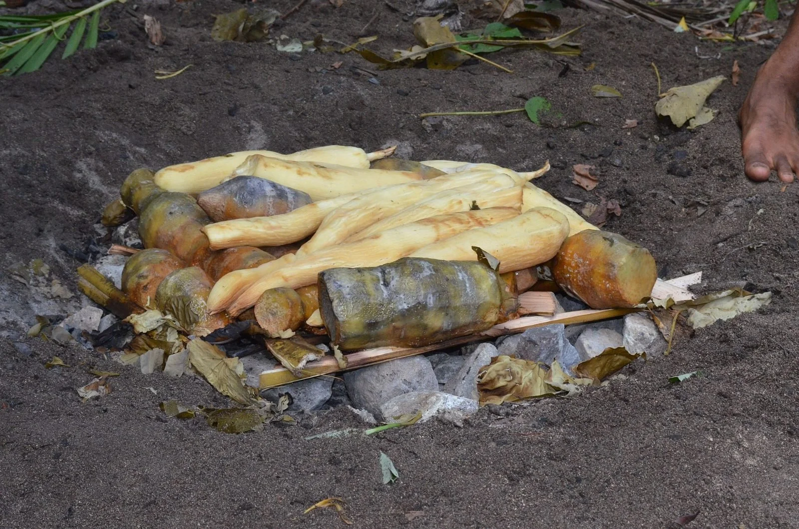 A Fijian lovo earth oven, with food wrapped and cooked on hot stones, a Christmas tradition in Fiji