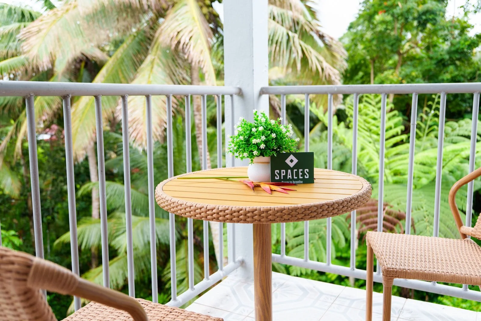 Terrace table overlooking palms and tree ferns at the Garden Flat, SPACES Fiji, Nakasi, a calm spot after a work day