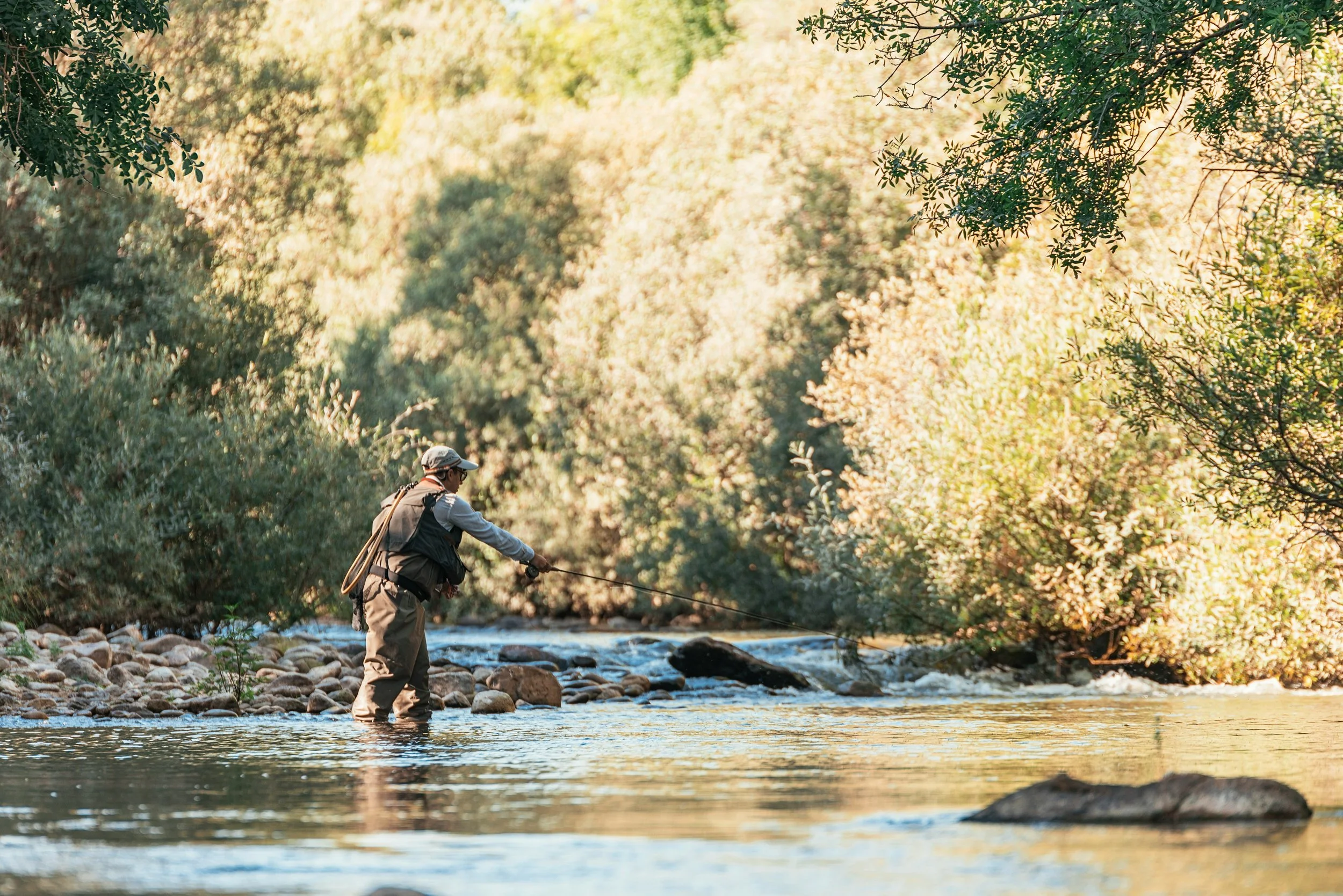A person wearing outdoor clothing and a hat fishing in a river surrounded by trees with green and yellow leaves in a forested area.