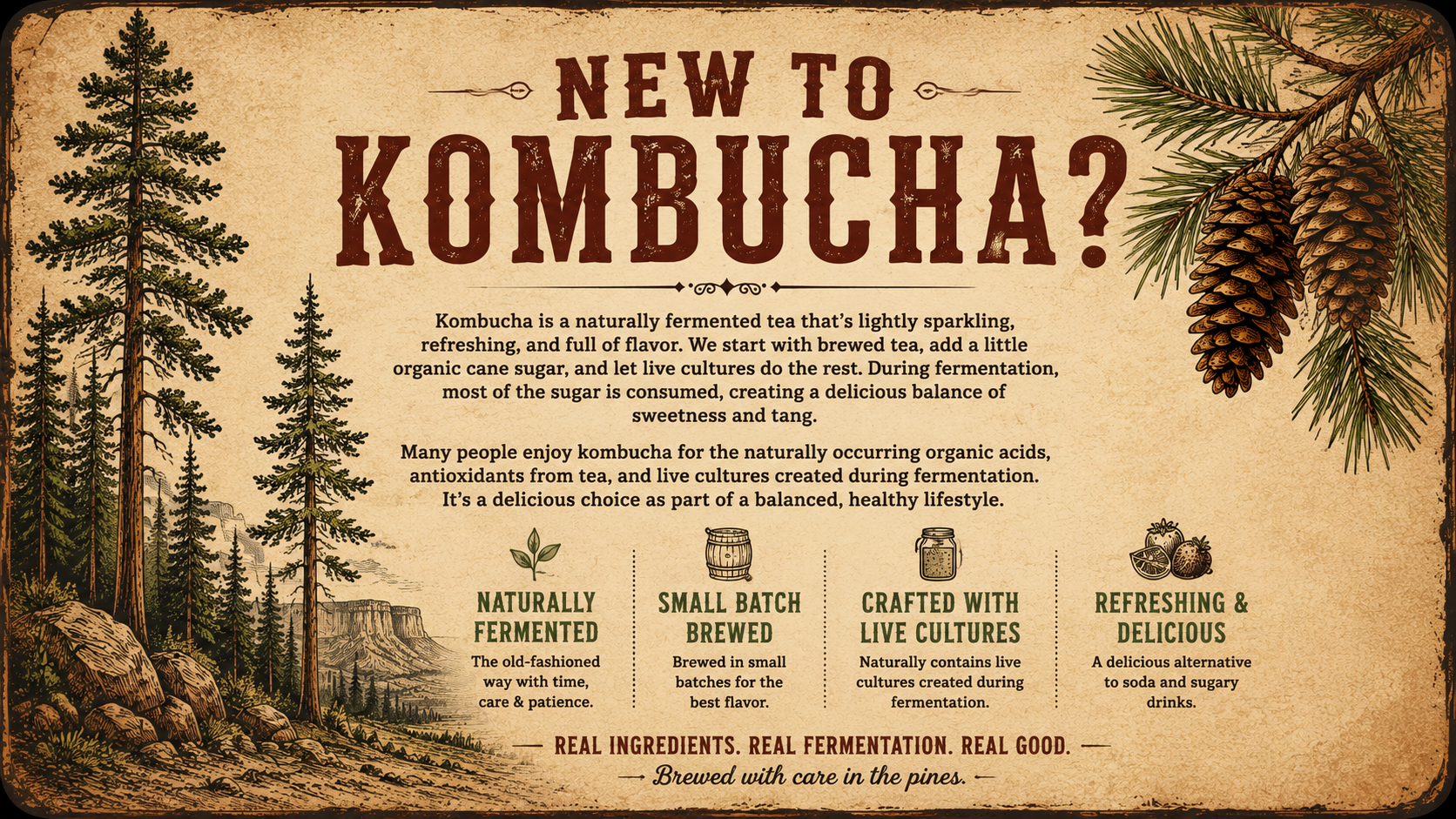 Informational poster with forest and pine cone illustrations promoting kombucha. It describes kombucha as a naturally fermented tea, highlighting its organic, small-batch, live cultures, and refreshing qualities. Features sections on: naturally fermented, small batch brewed, crafted with live cultures, and refreshing & delicious.