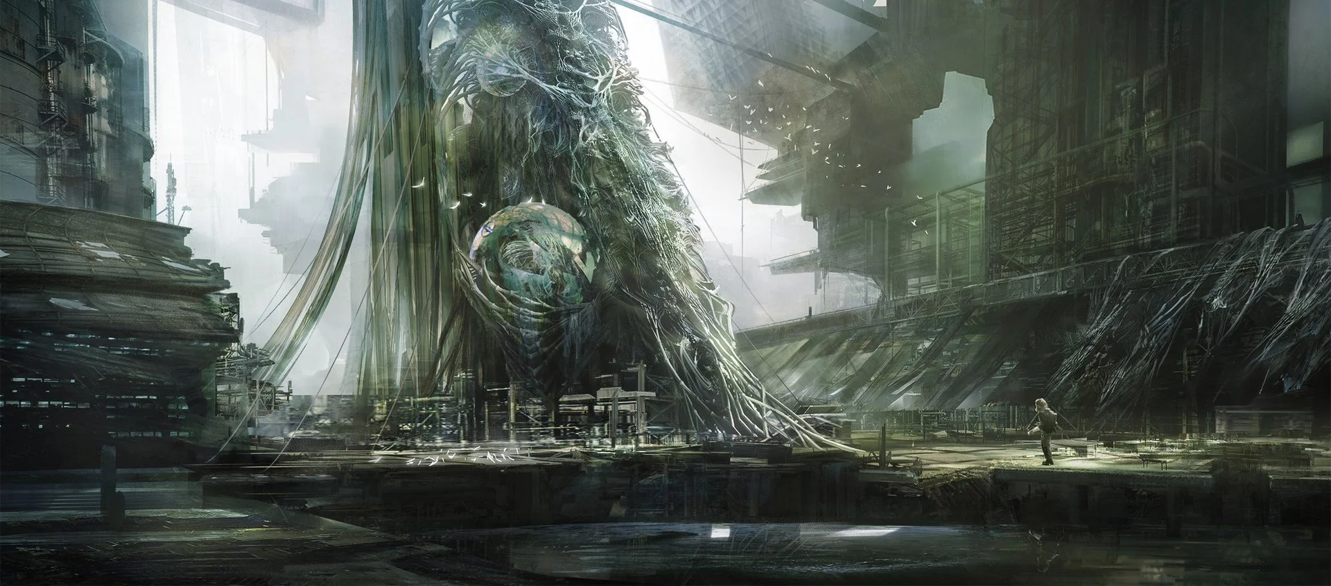 Ancient Tree