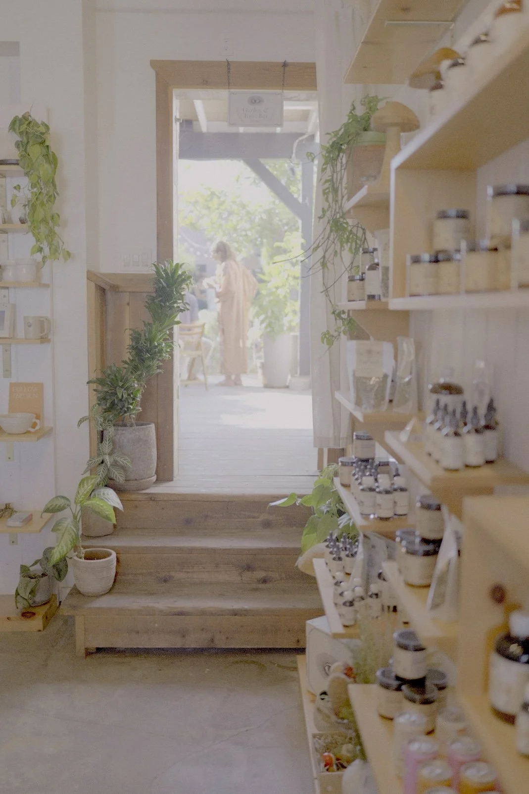 Herbal apothecary with jars lining the shelves