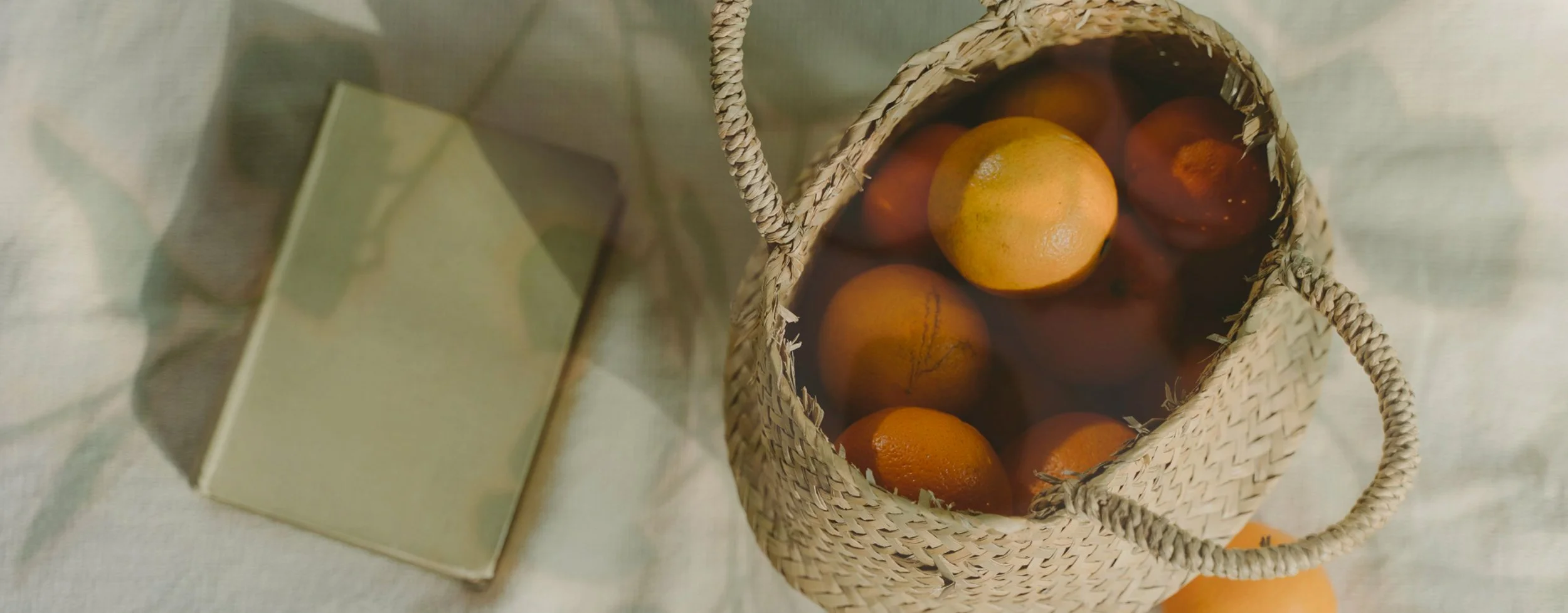 Notebook beside a basket of citrus fruit