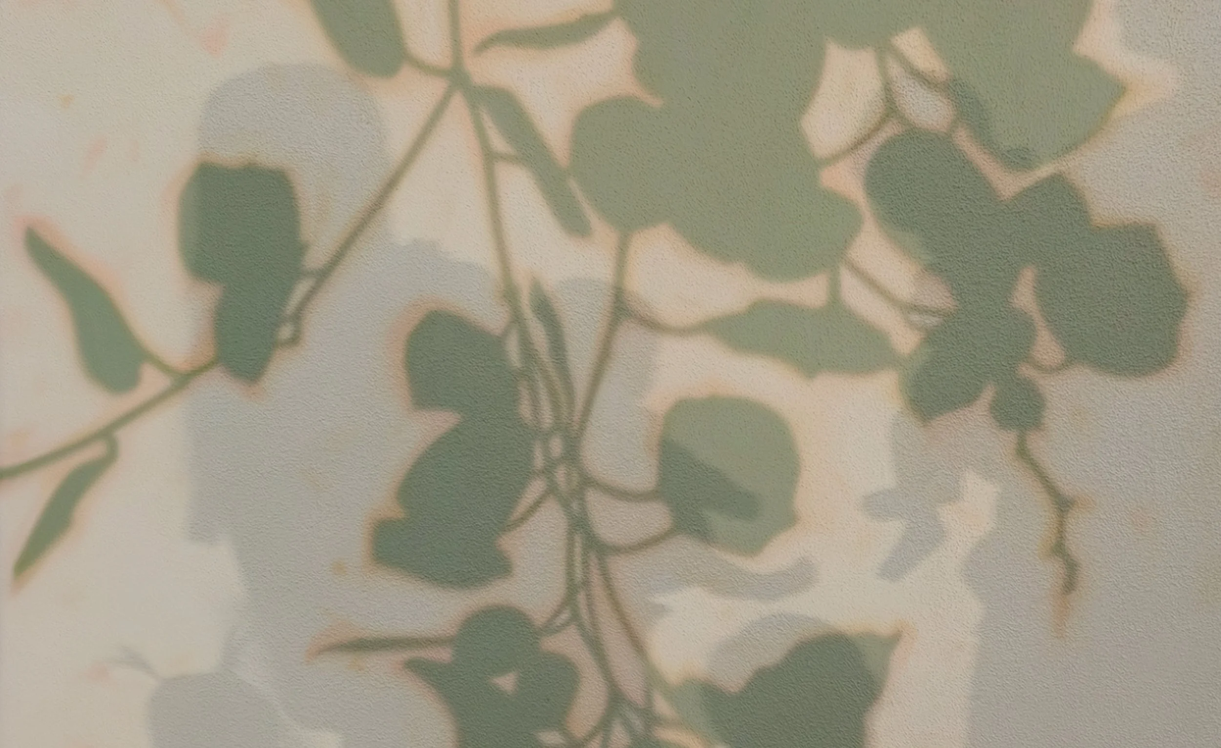 Eucalyptus leaf shadows with the silhouette of a family