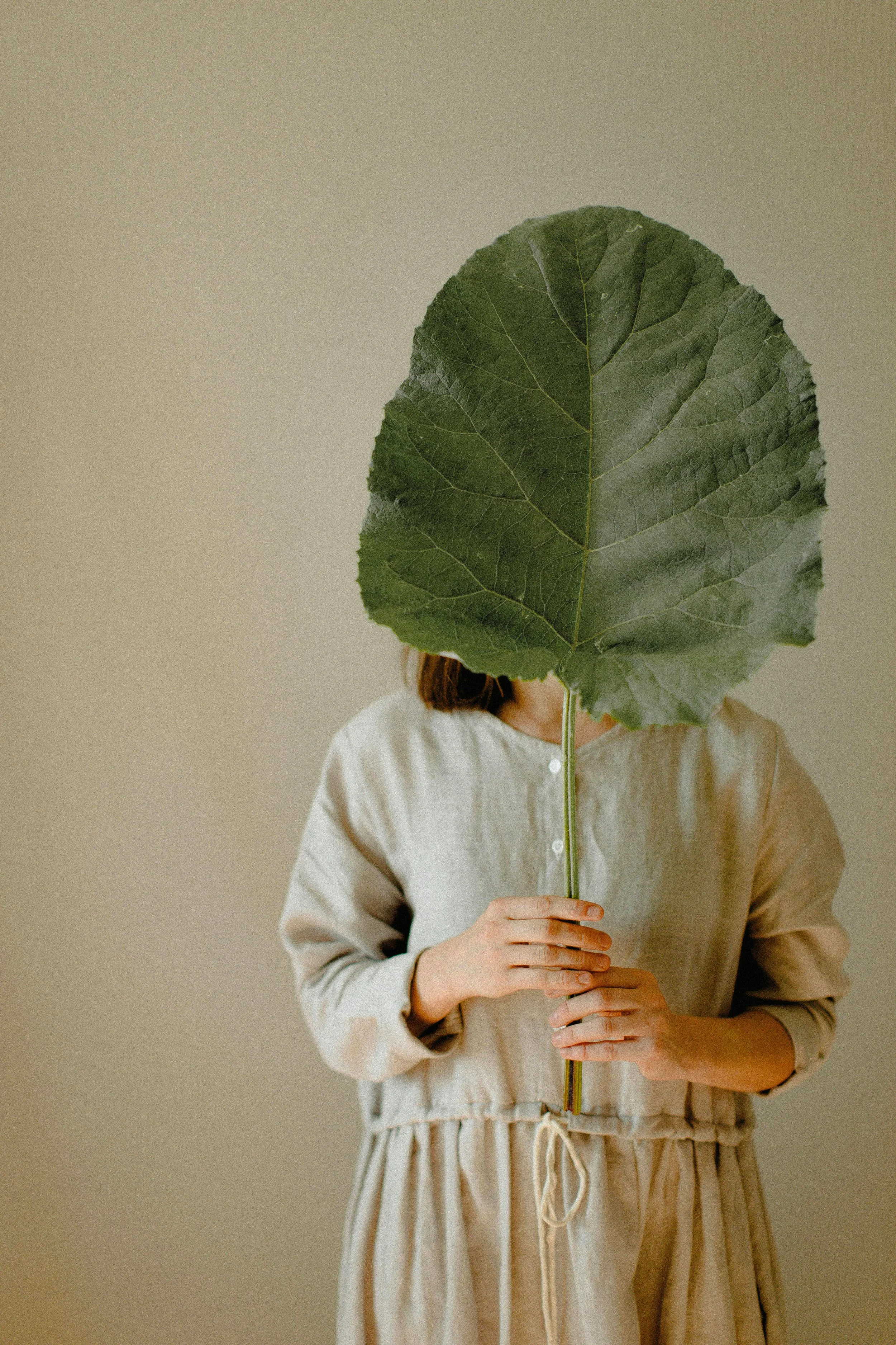 Hand holding a green leaf