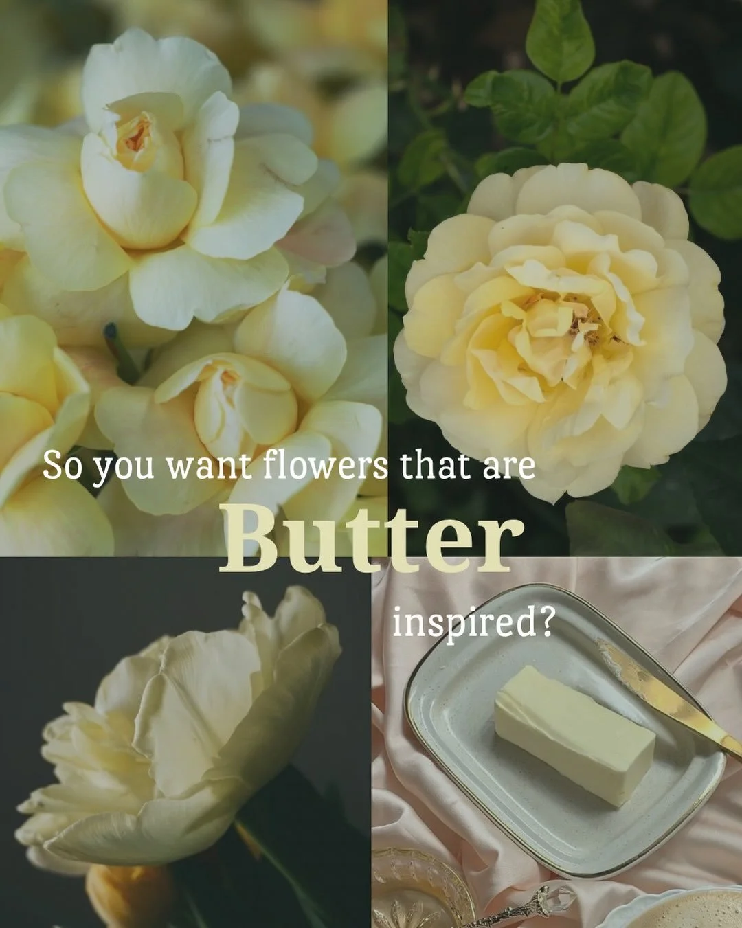Butter yellow was a wedding trend in the 70&rsquo;s that&rsquo;s been coming back lately and I absolutely love it💛🌼