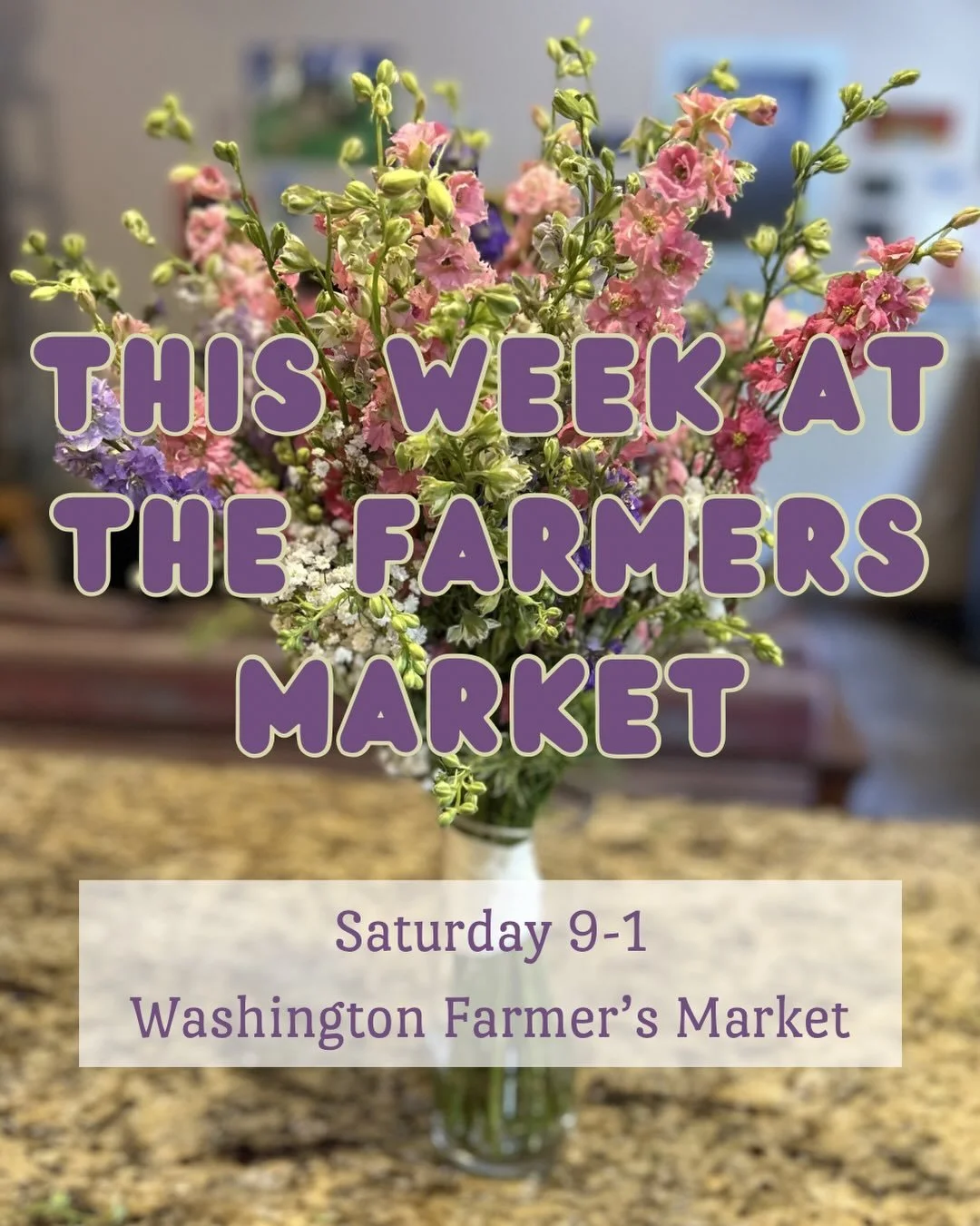 WE&rsquo;RE BACK AT THE MARKET THIS WEEK BABYYYYYY!! Special theme for Fathers Day that you won&rsquo;t want to miss!