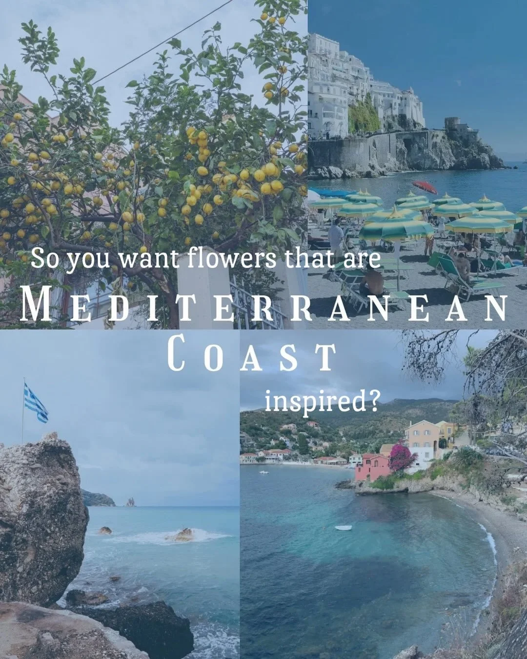 Mamma Mia chic &mdash; here&rsquo;s how the Mediterranean theme flowers from last week&rsquo;s market panned out 🇬🇷 🍋 🫒 🌼