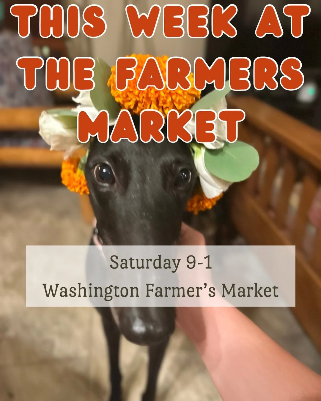 Yes we WILL be at the market this Saturday!! I&rsquo;ve been wayyy too busy to post this week lol but please please come see us:)