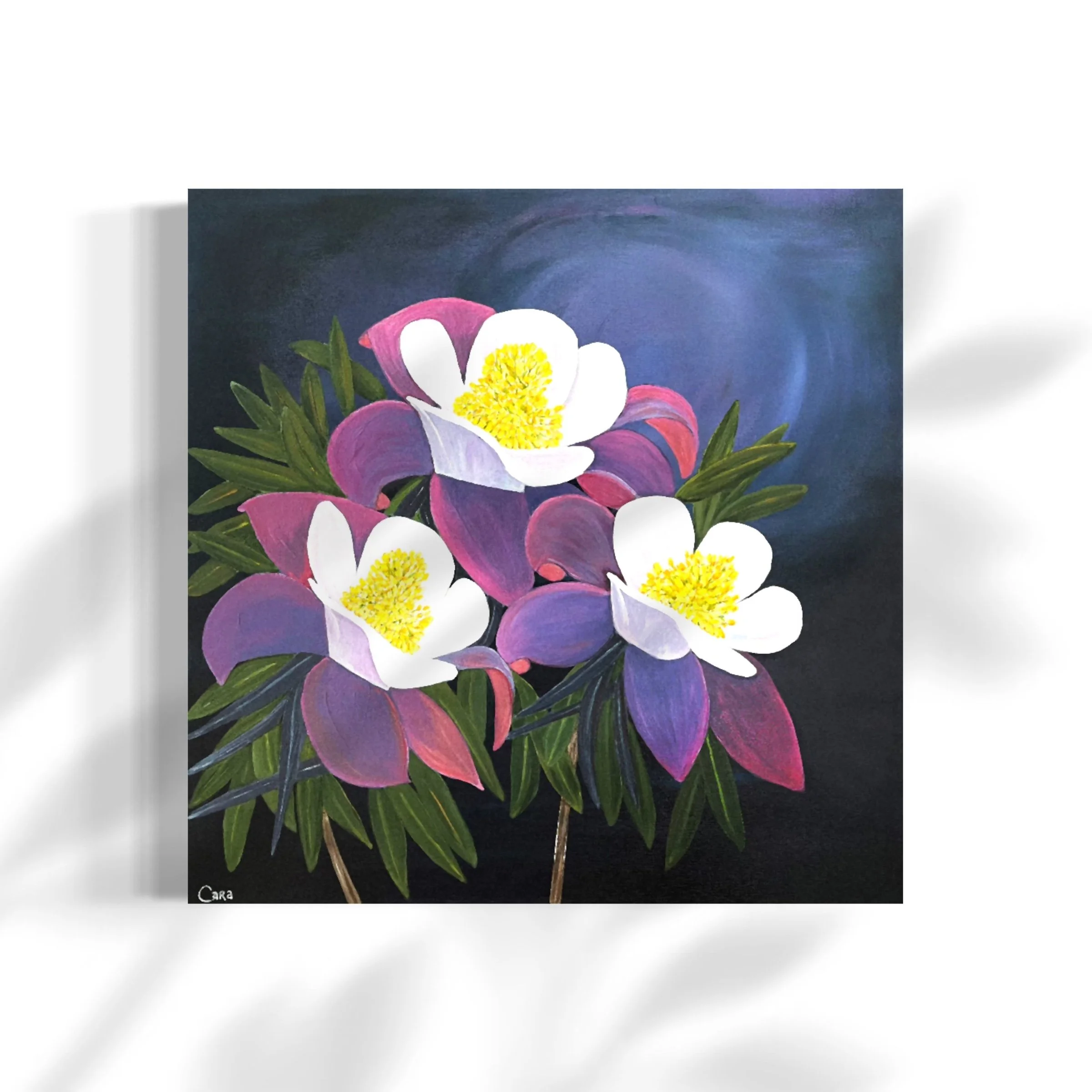 Velvet Blooms
