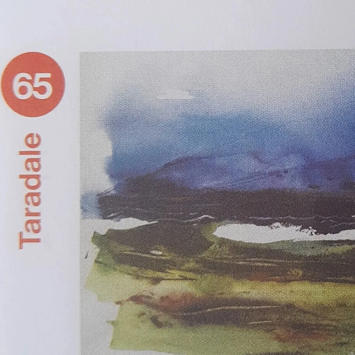 Hawke’s bay art trail meet    Joan Hay