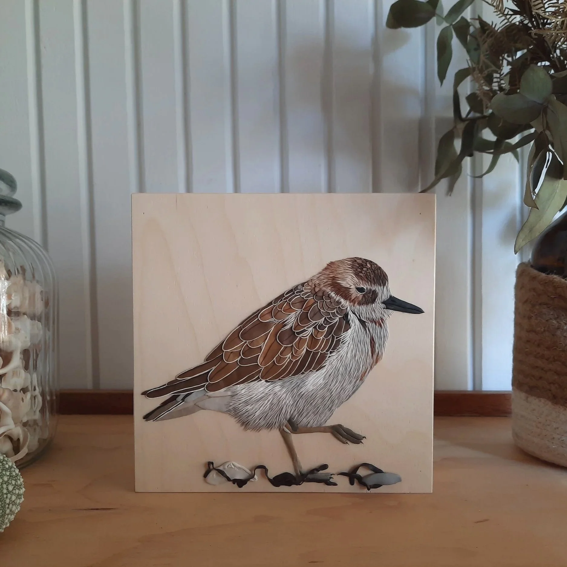 Dotterel+Dotterel+New+Zealand+Bird+Beach+Background.jpg