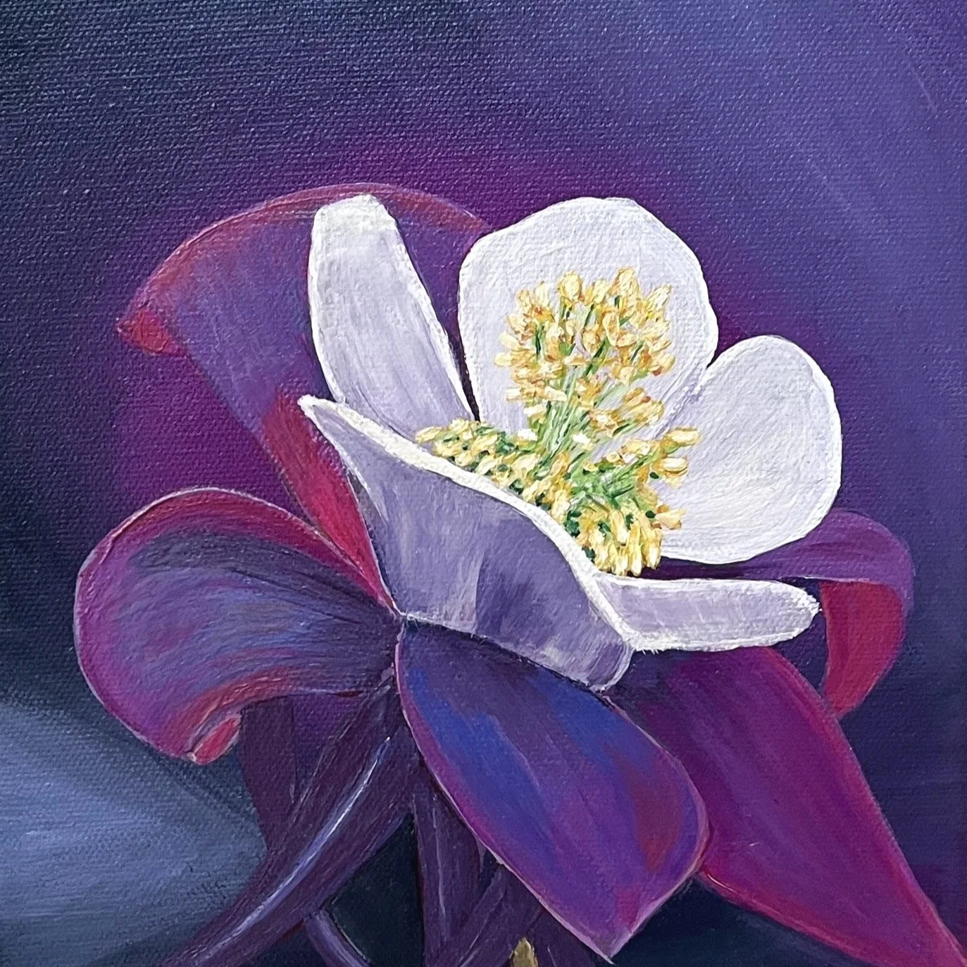 Velvet Bloom Miniature