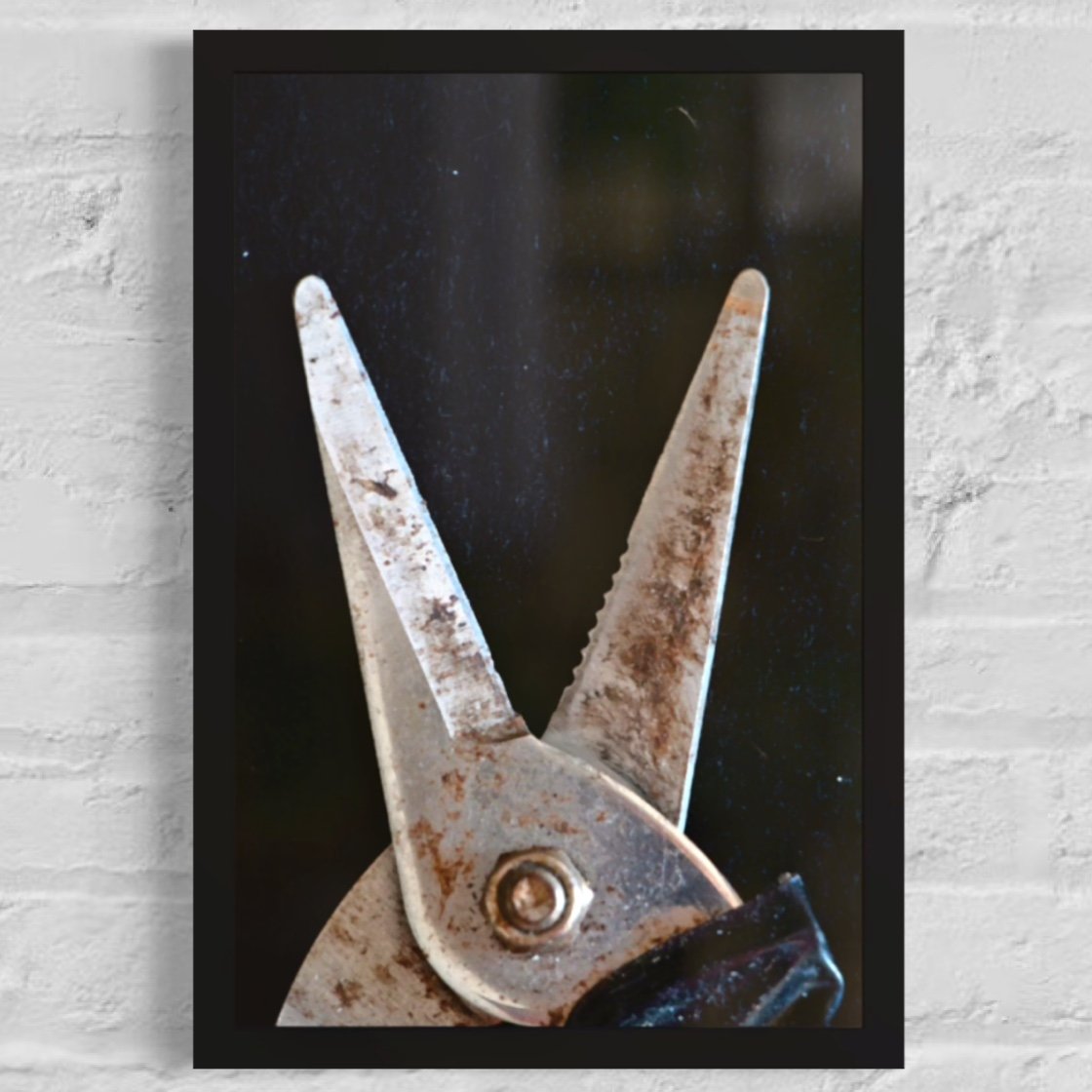 Pruning Shears