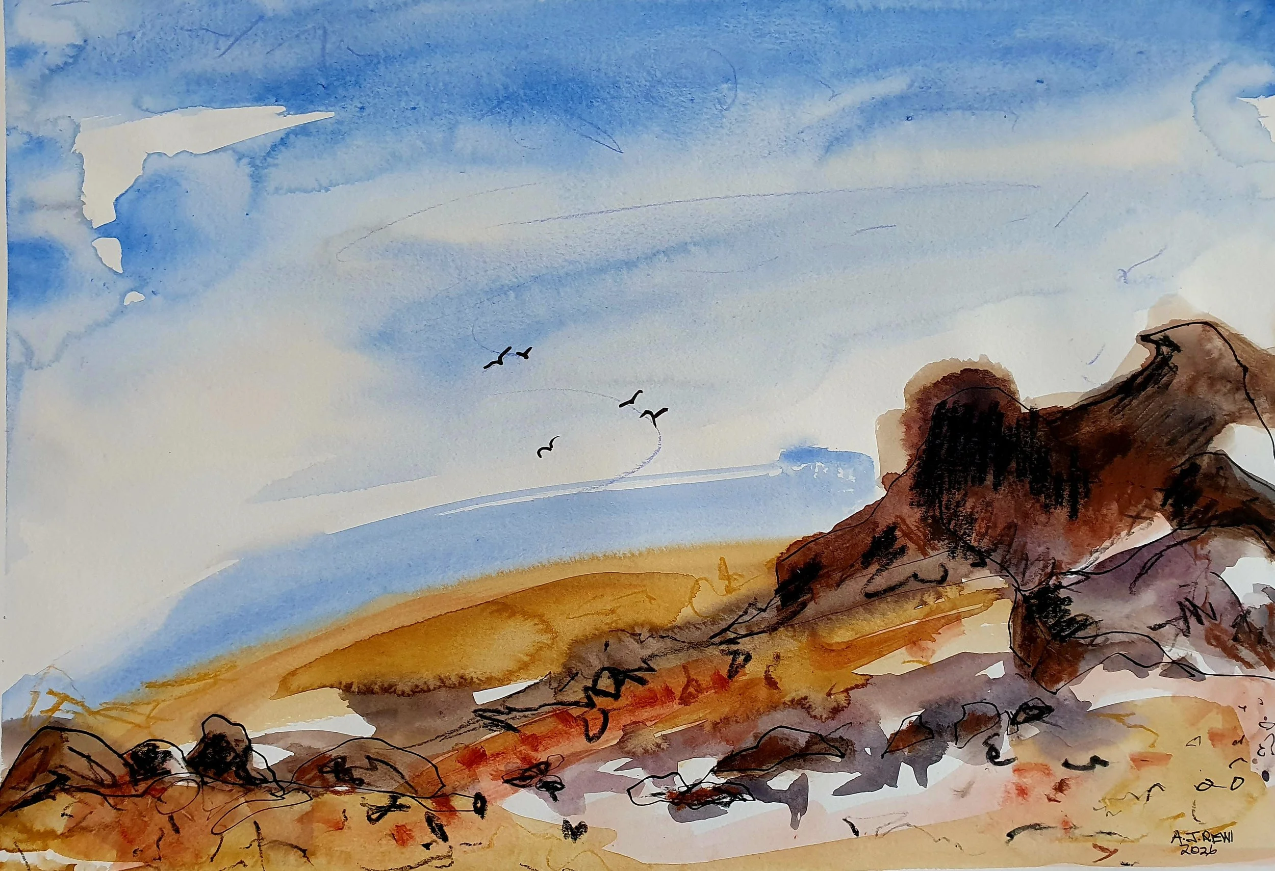 Five Birds in a Sumner Sky