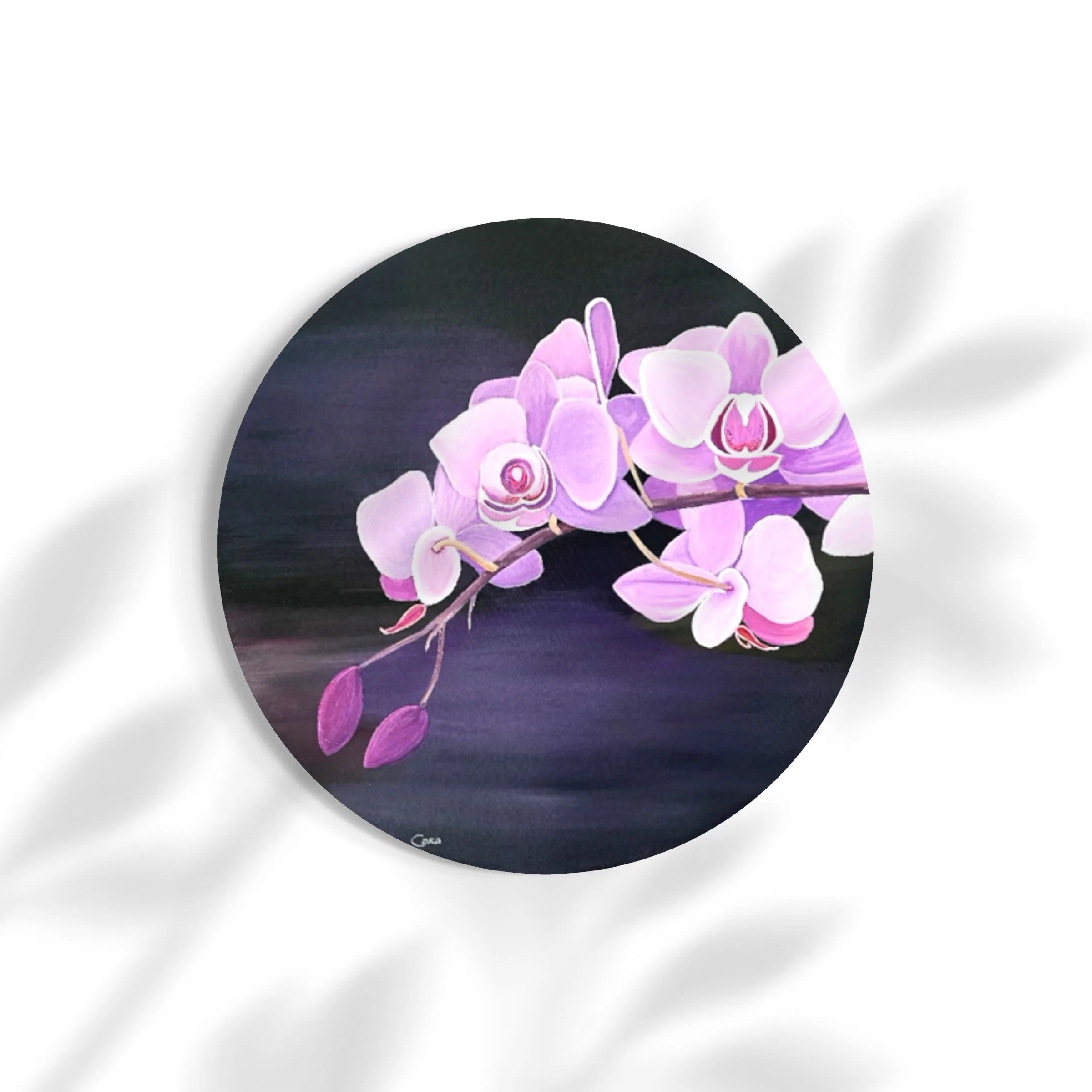 Orchid Reverie
