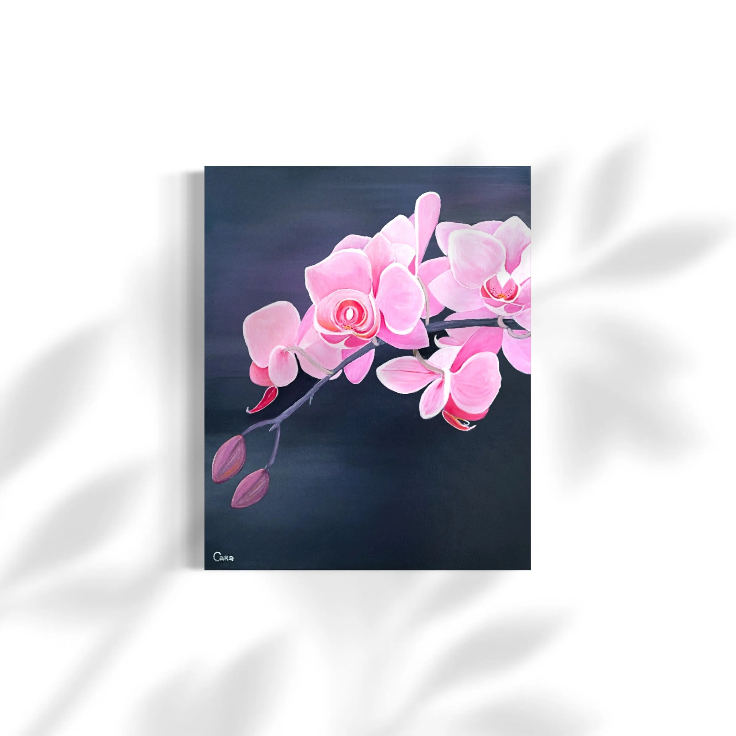Orchid Rhapsody