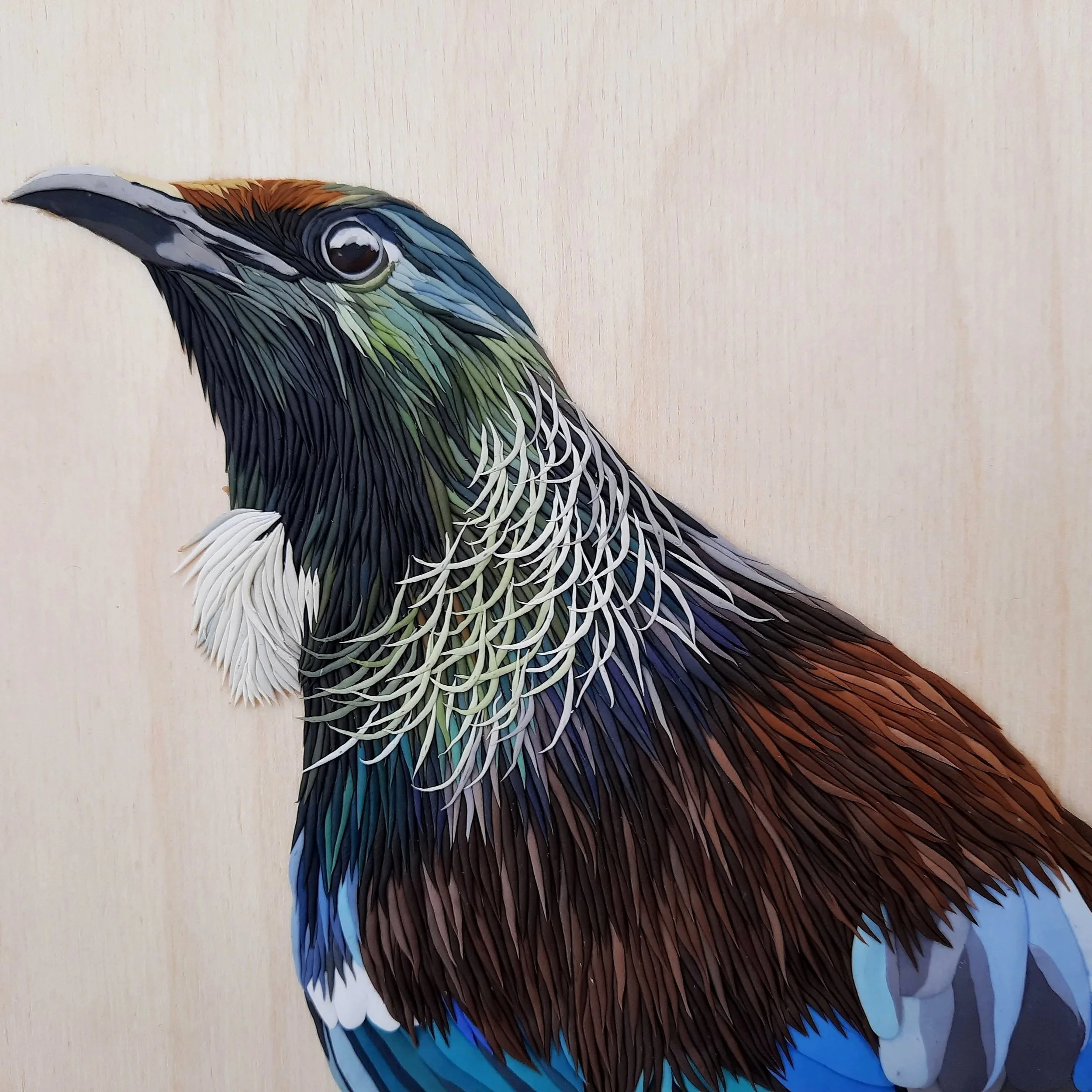Tensile Tūī