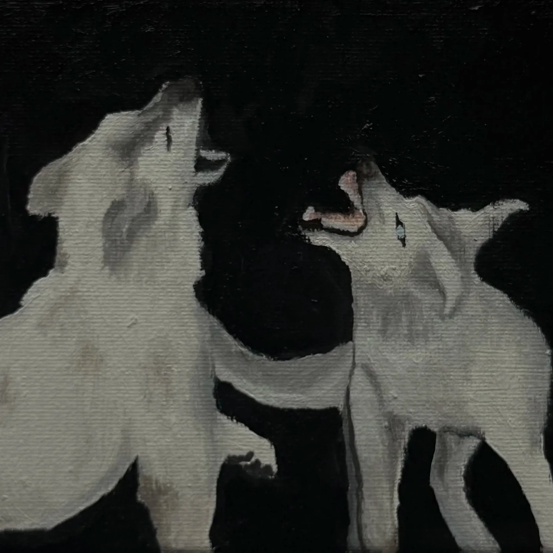 image4.jpg