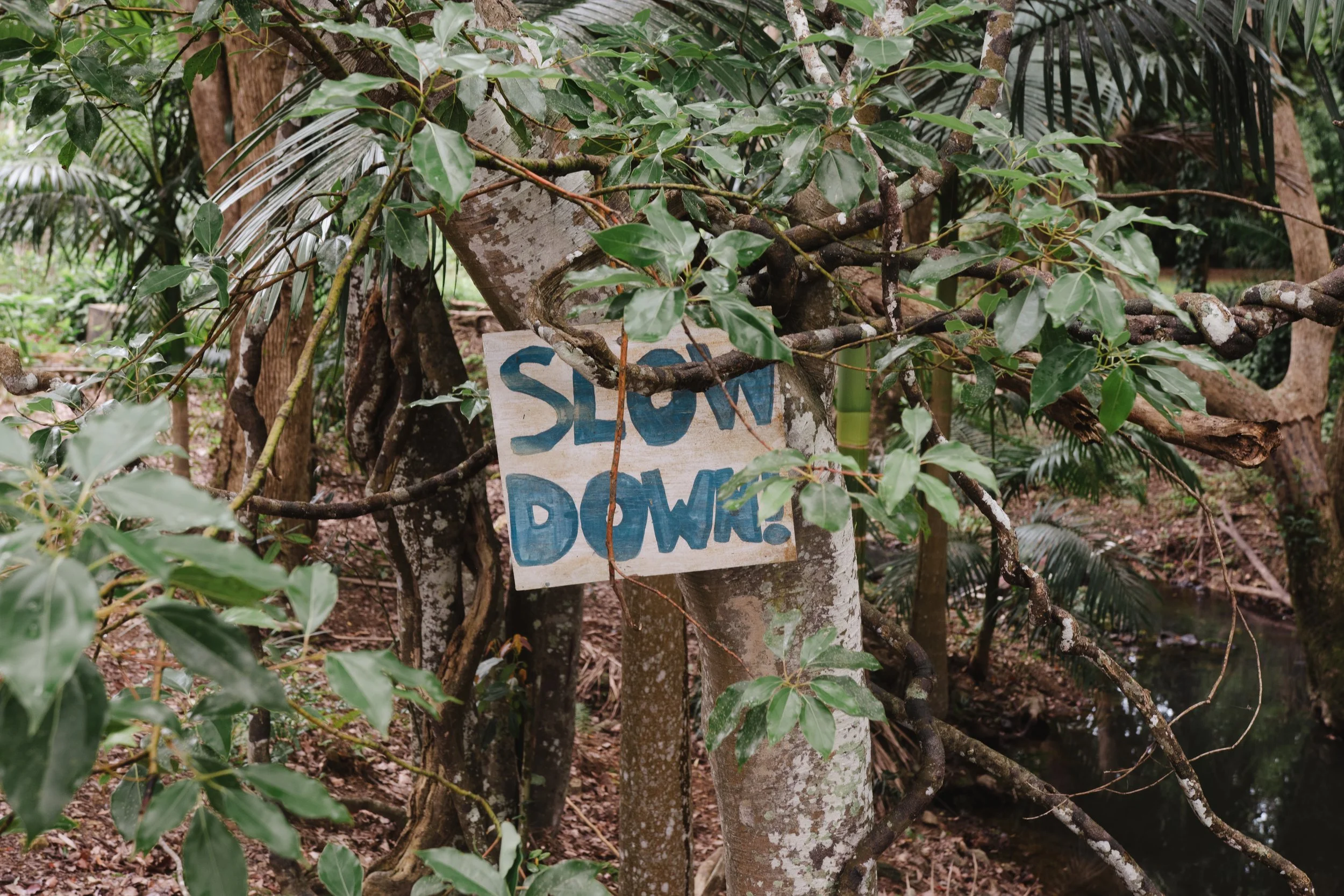 DSC_0918.jpg