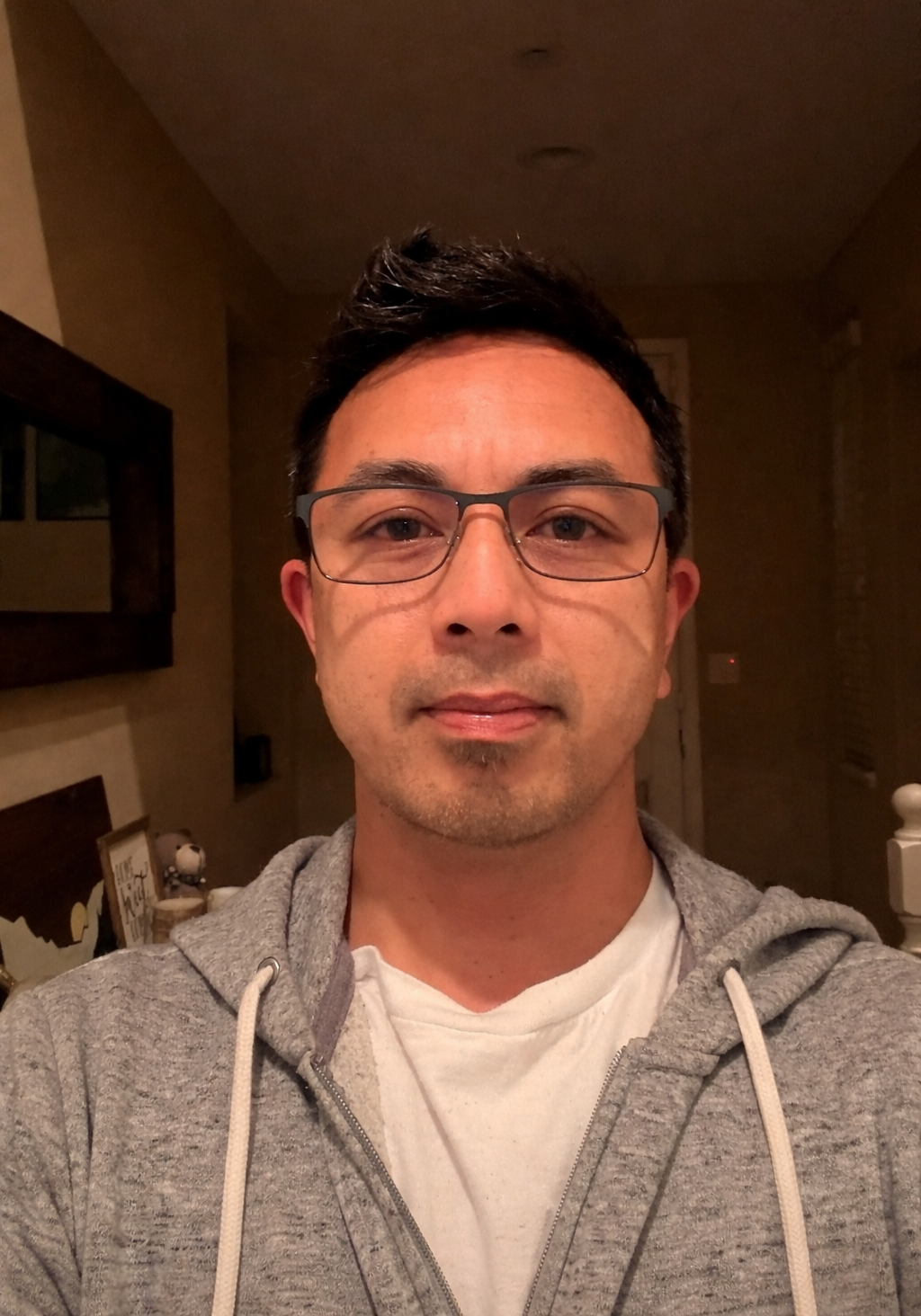 A young man with glasses and short dark hair taking a selfie indoors, wearing a gray hoodie and white T-shirt.