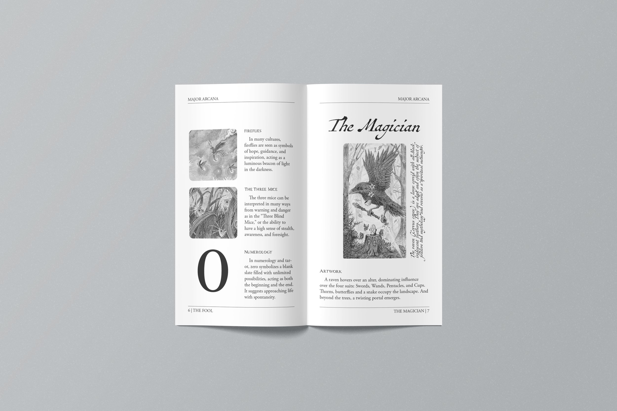 Open book with text and black-and-white illustrations on a grey background.