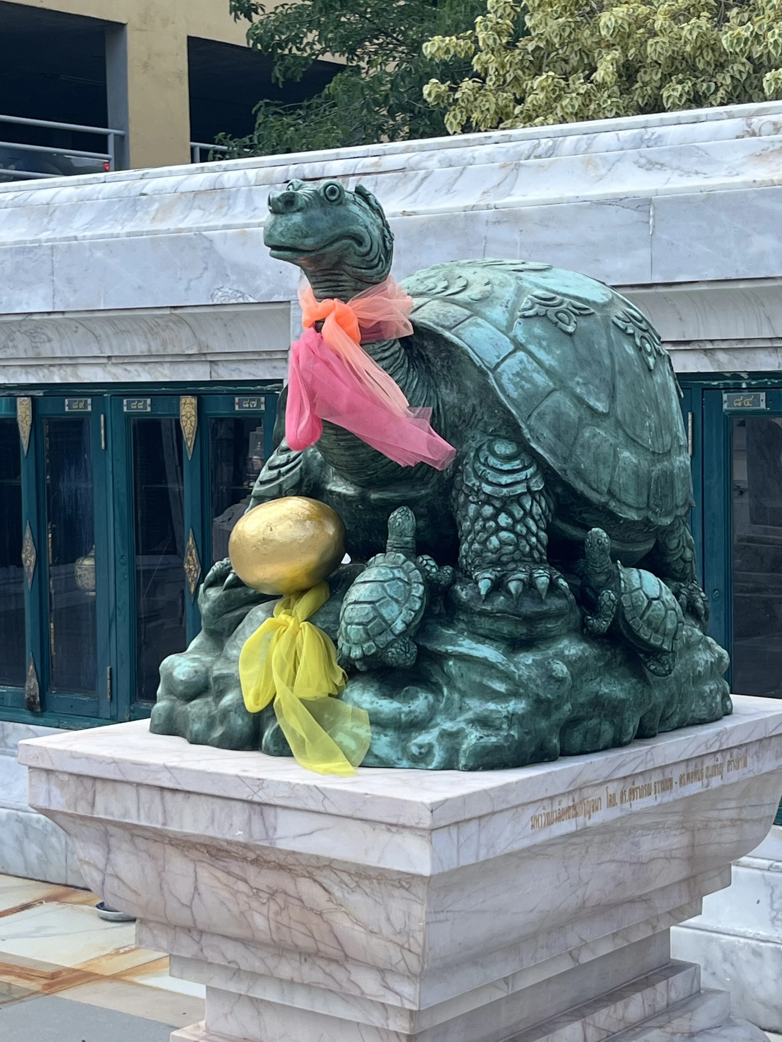 turtle.jpg