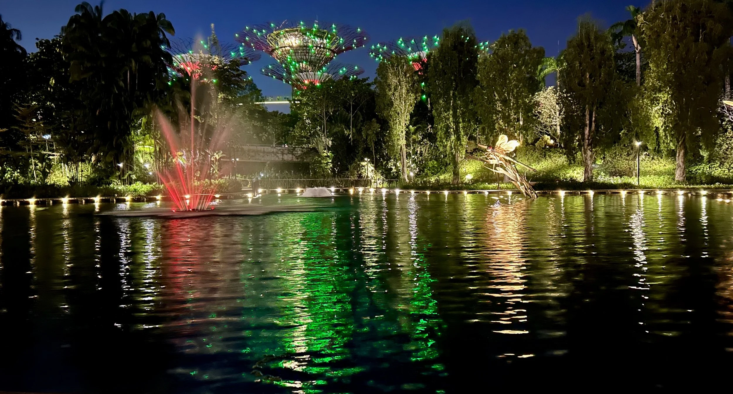 Gardens Bay night.jpg