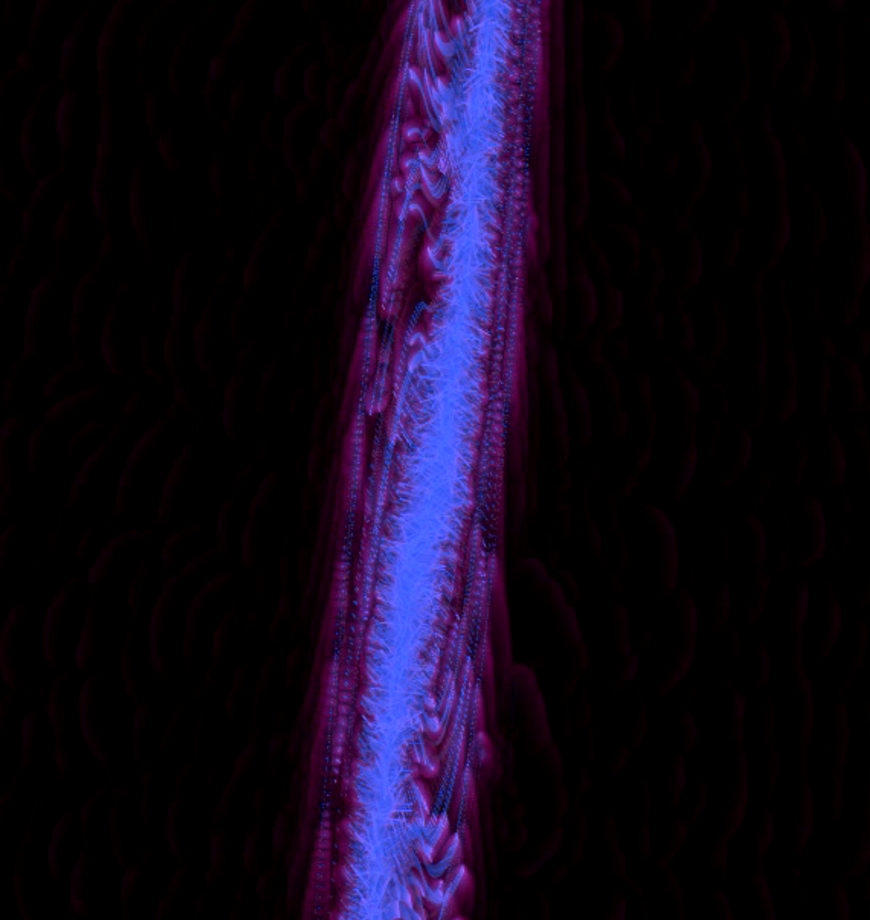 스크린샷 2026-01-12 014756.png