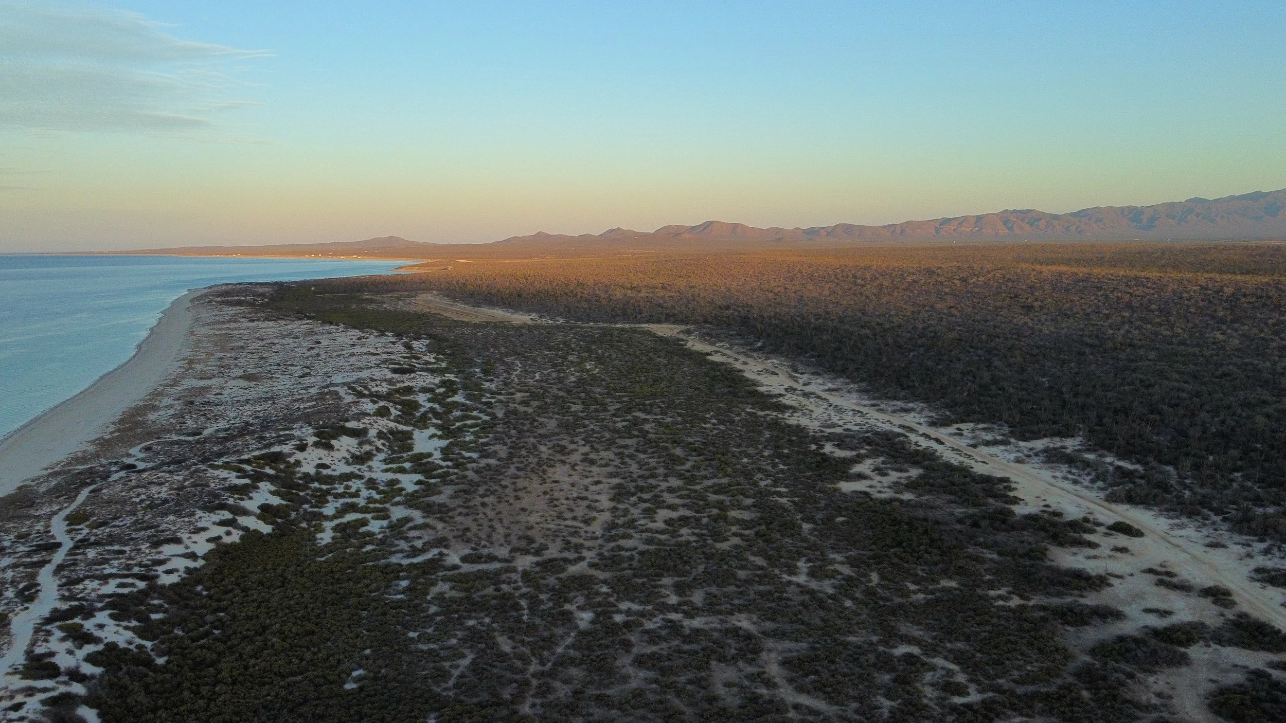 Aerial view of a coastal area featuring a shoreline with sandy dunes, sparse vegetation, and a calm body of water, with mountains in the distance under a clear sky.