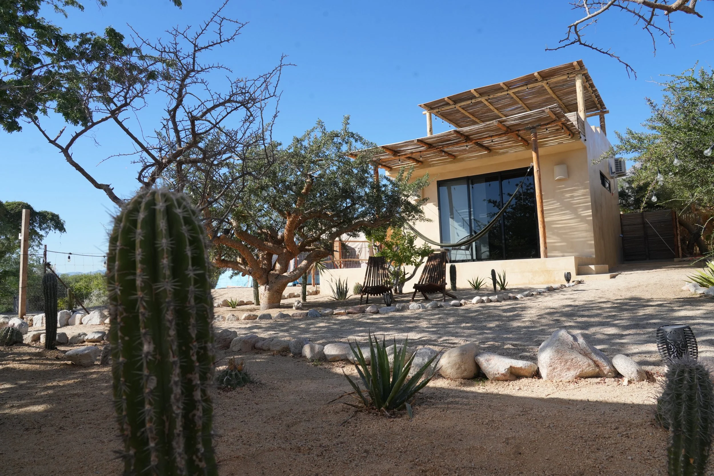 A modern house with a flat roof and large glass sliding doors, surrounded by desert plants including cacti and succulents, under a clear blue sky.