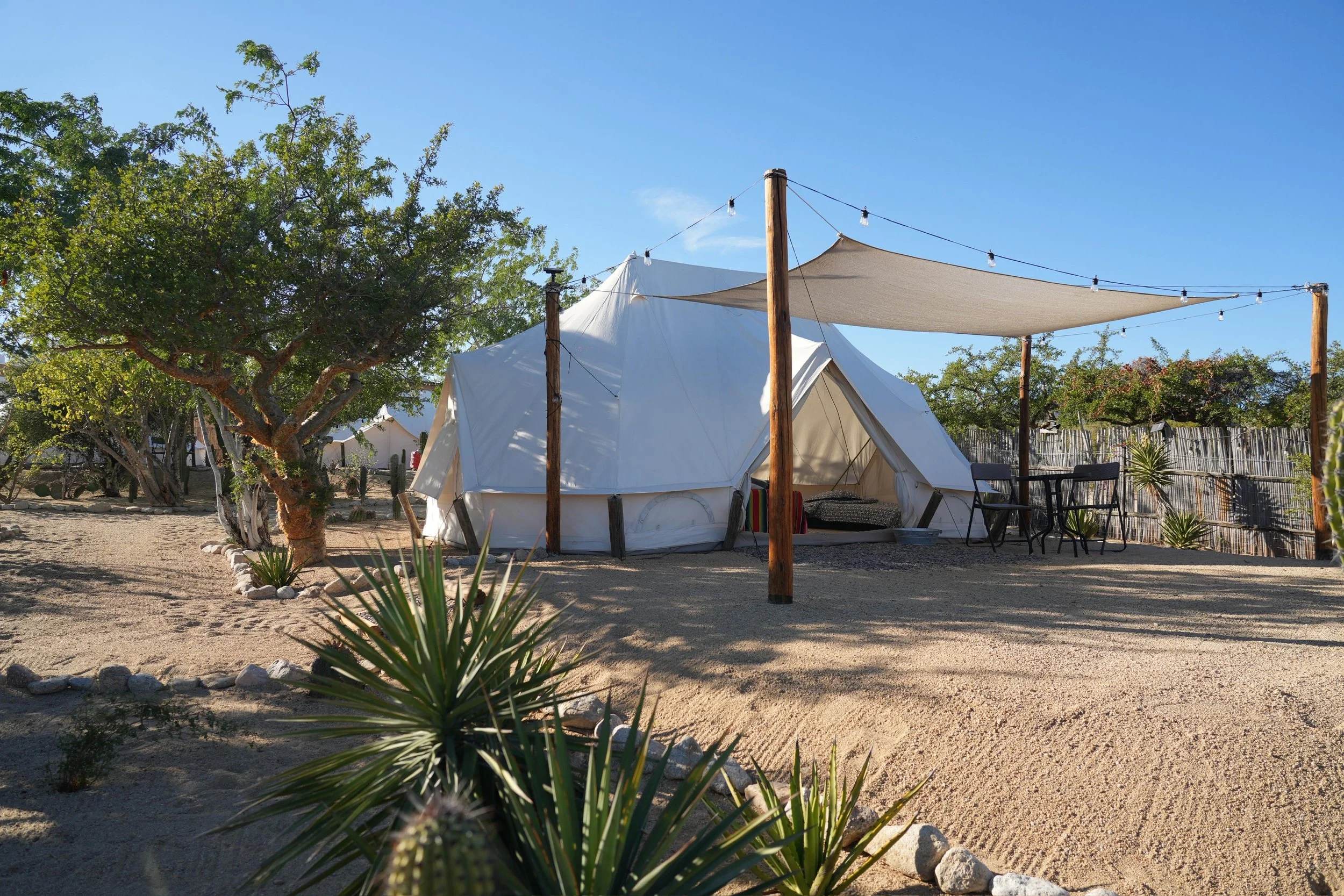 A white camping tent set up outdoors in a desert-like area with sandy ground. There are large green trees, a wooden fence, and string lights overhead. Some outdoor furniture is visible near the tent.