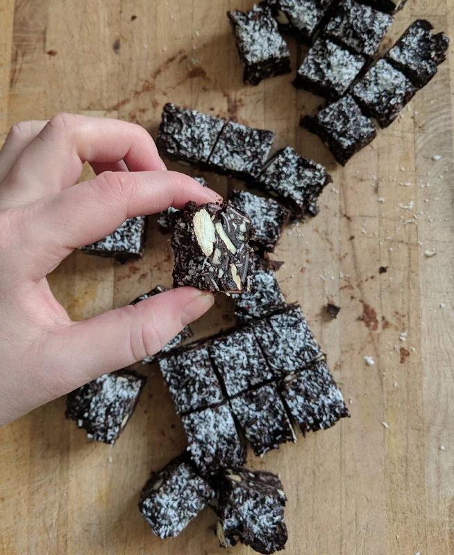 Delicious Chocolatey Coconut Squares