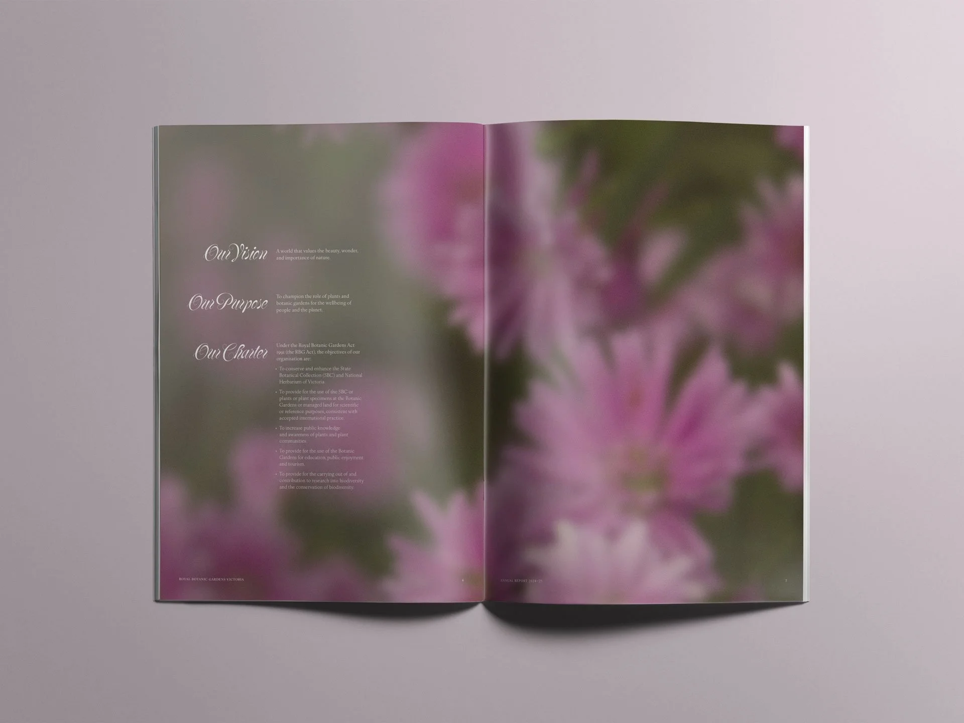 Evergreen-mockup-OVOPOC.jpg